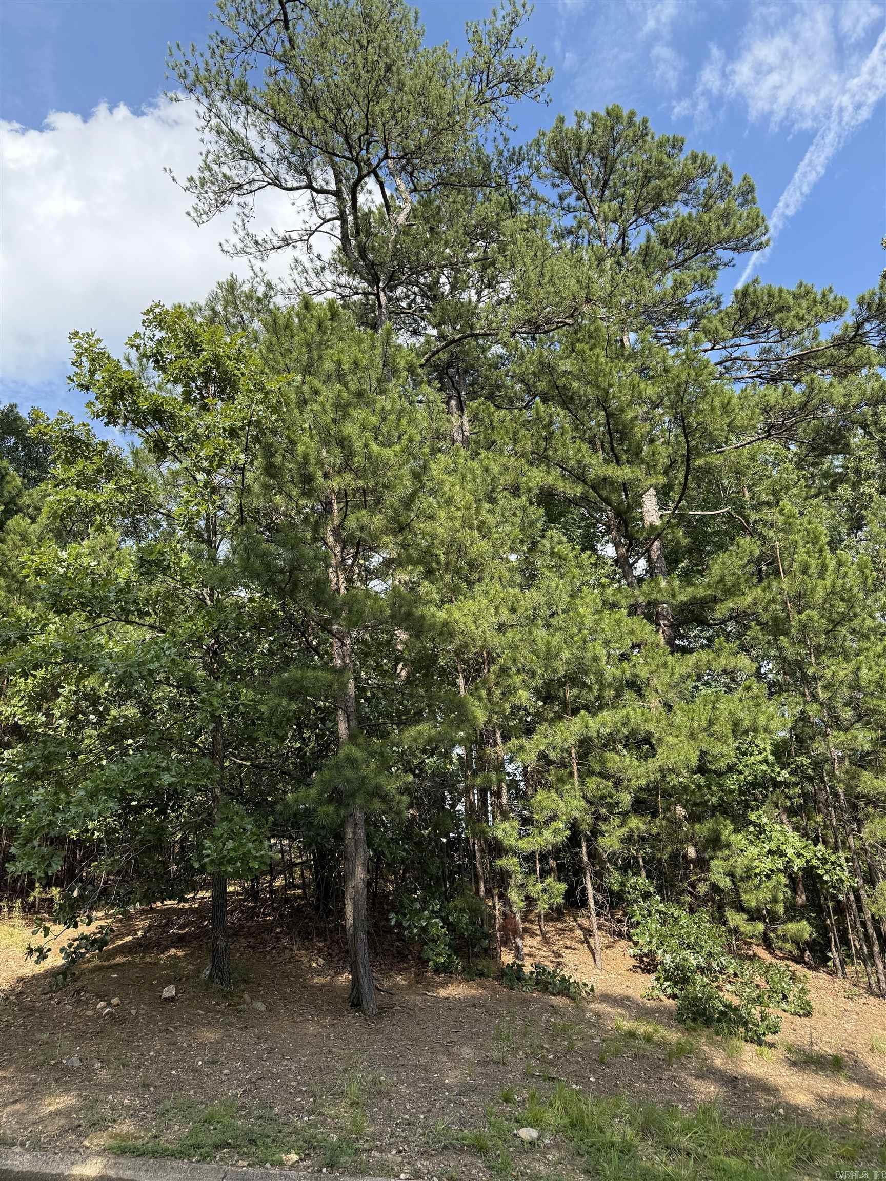 Lot 7 Beckenham Cv  Little Rock, AR
