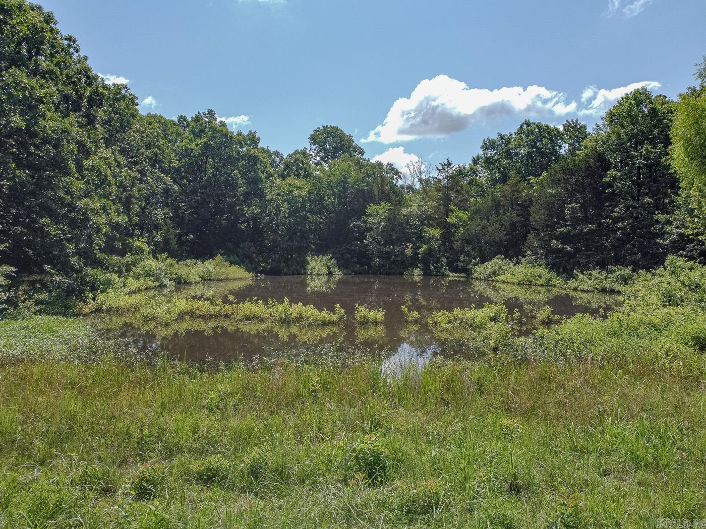 284 sycamore  Salem, AR