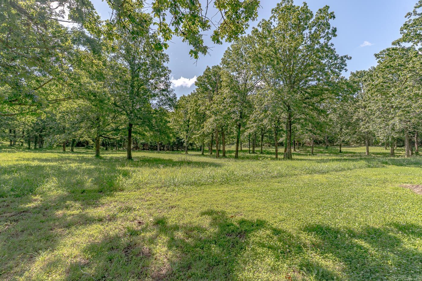 284 sycamore  Salem, AR