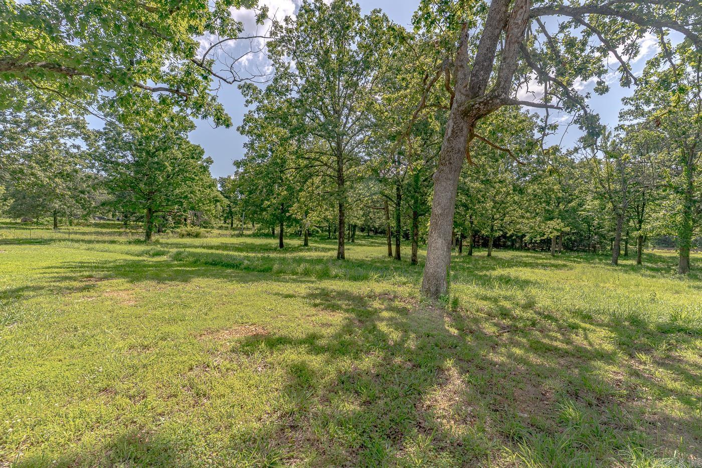 284 sycamore  Salem, AR