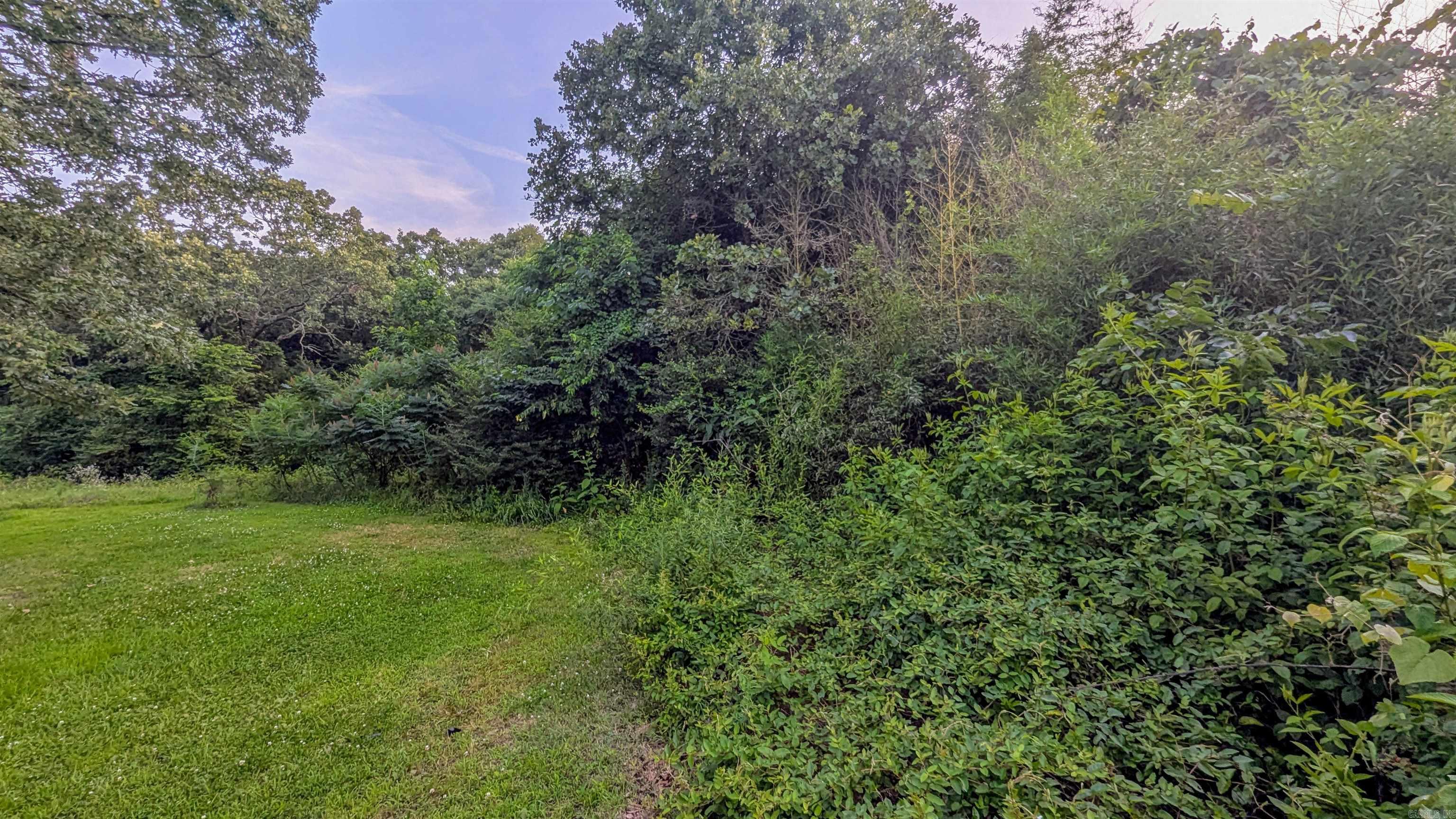 1038 Velvet Ridge Road Bradford, AR 72020