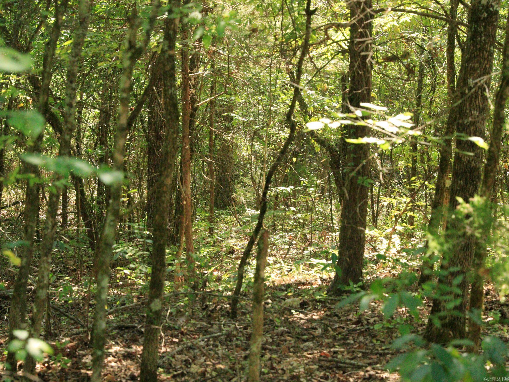 210 E Bo Peep  Horseshoe Bend, AR
