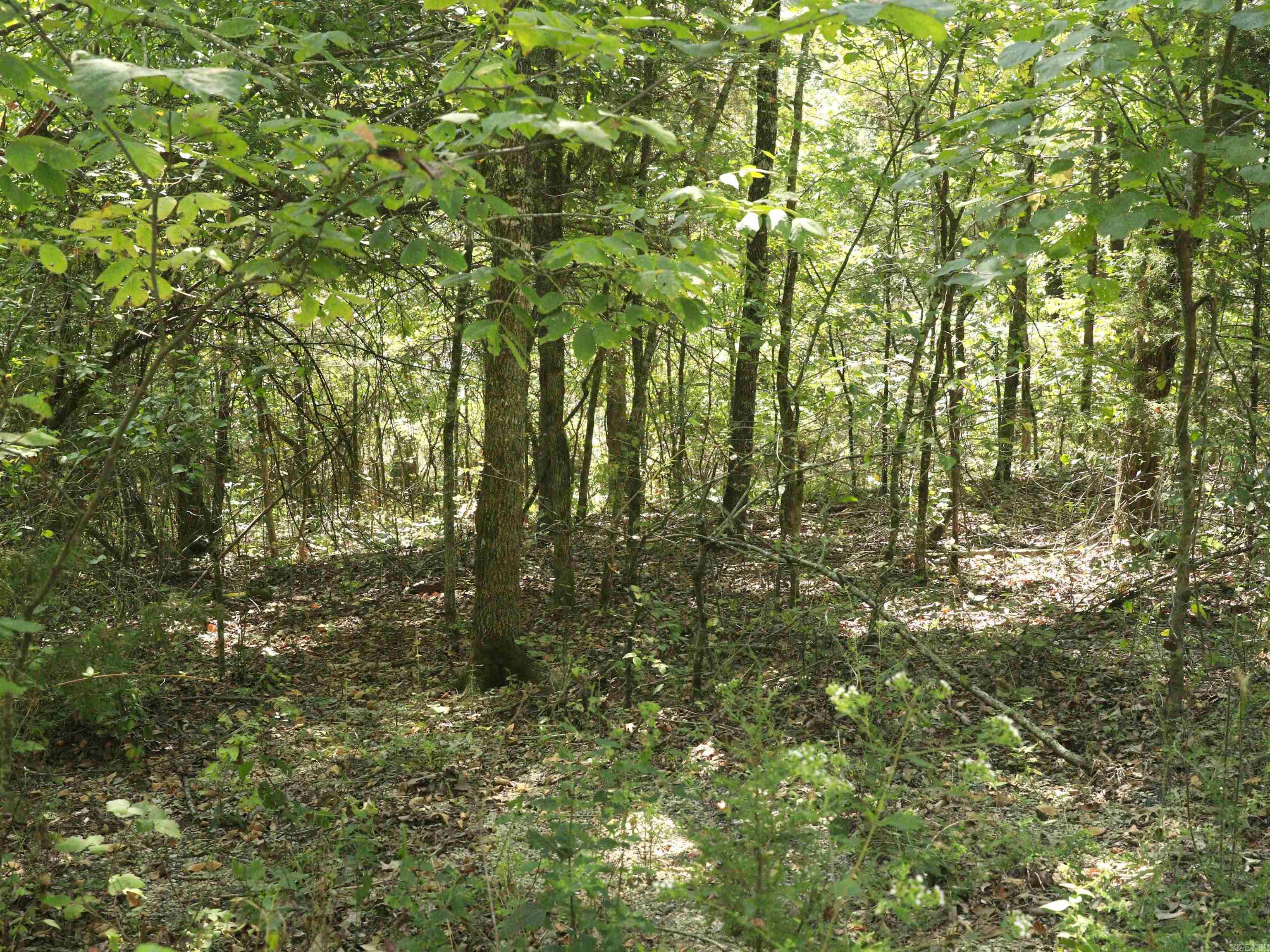 210 E Bo Peep  Horseshoe Bend, AR