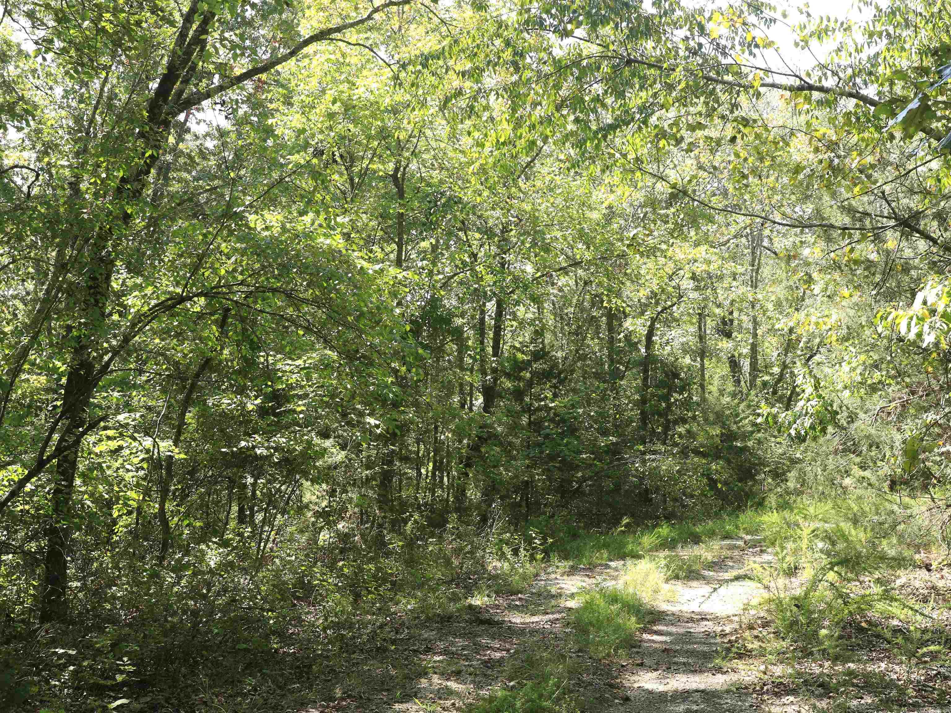 210 E Bo Peep  Horseshoe Bend, AR