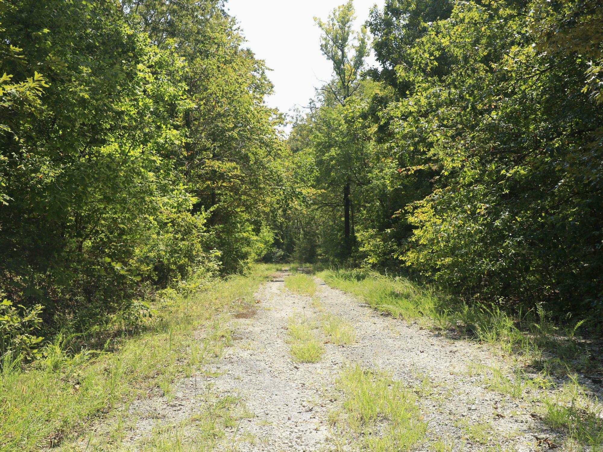 210 E Bo Peep  Horseshoe Bend, AR