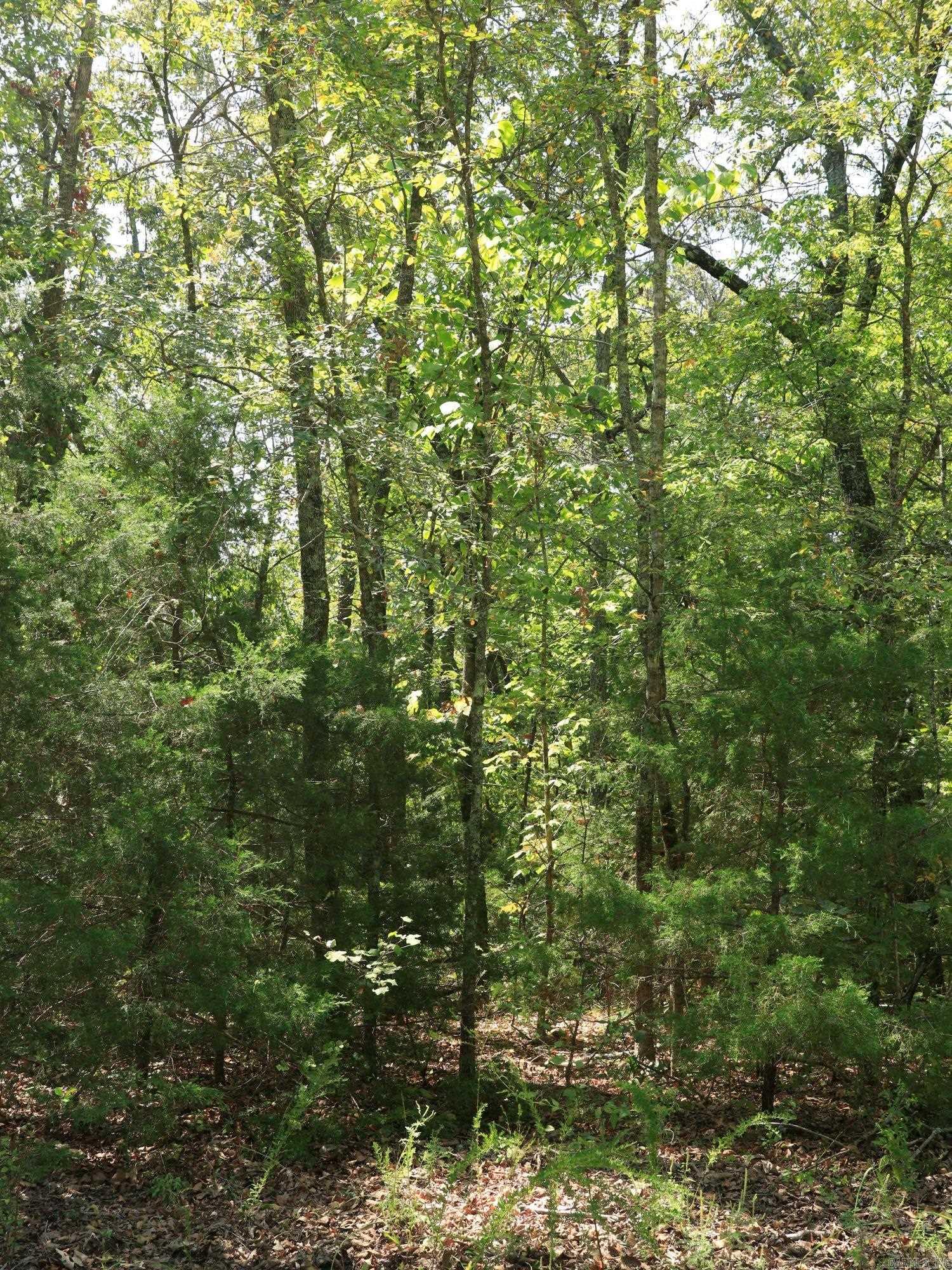 210 E Bo Peep  Horseshoe Bend, AR