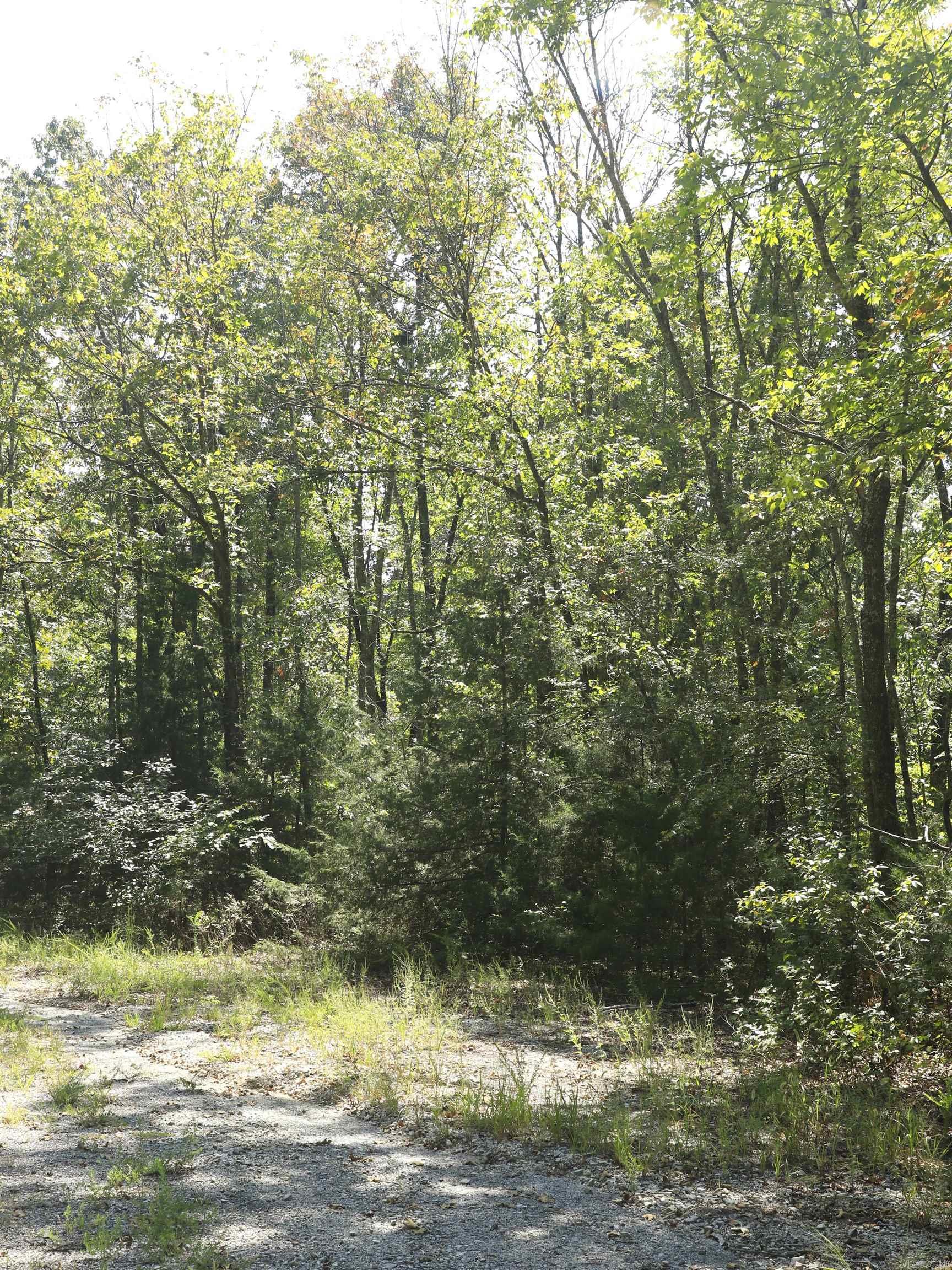 210 E Bo Peep  Horseshoe Bend, AR