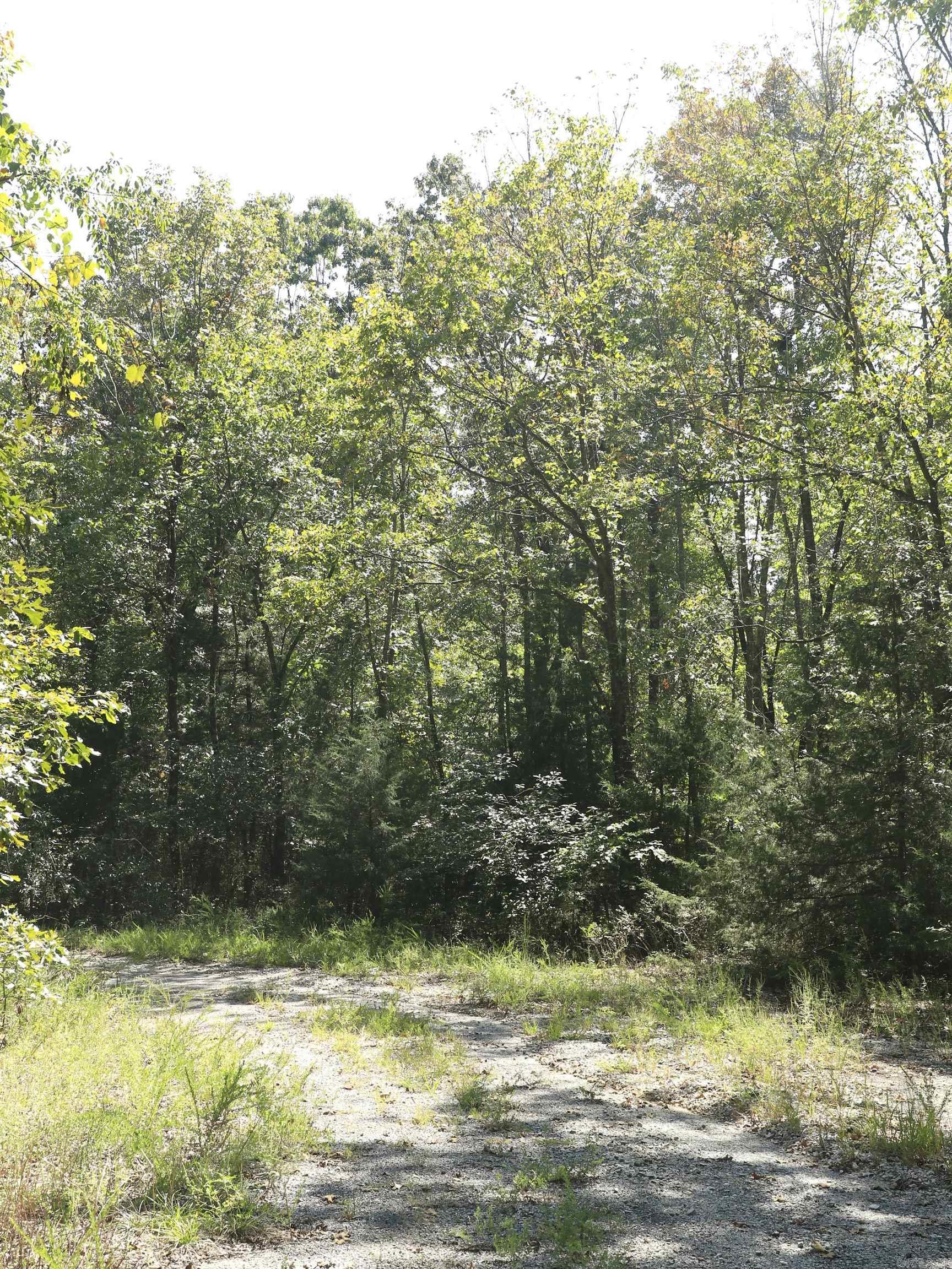 210 E Bo Peep  Horseshoe Bend, AR