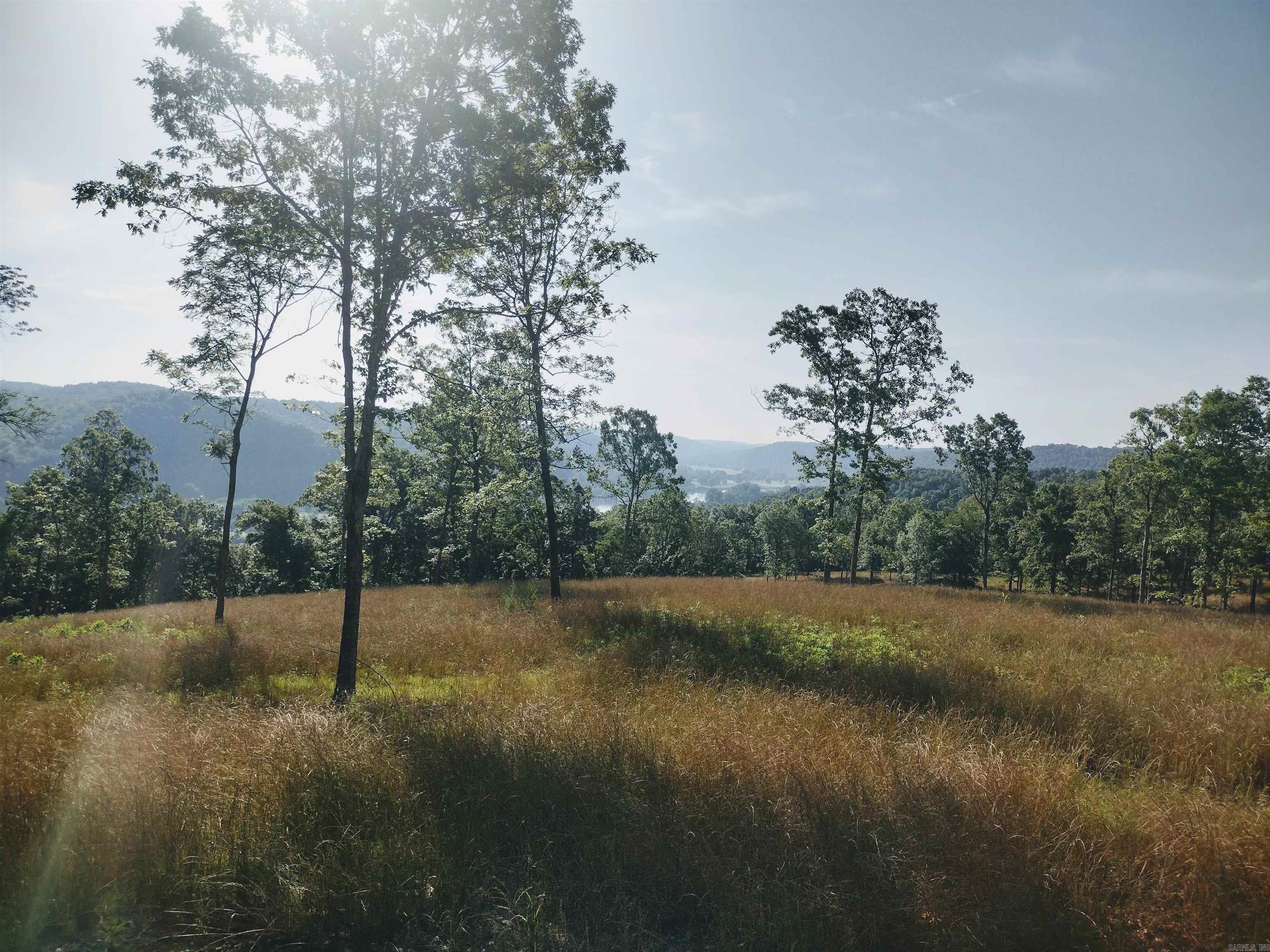 0 Burten Hill Road  Mountain View, AR