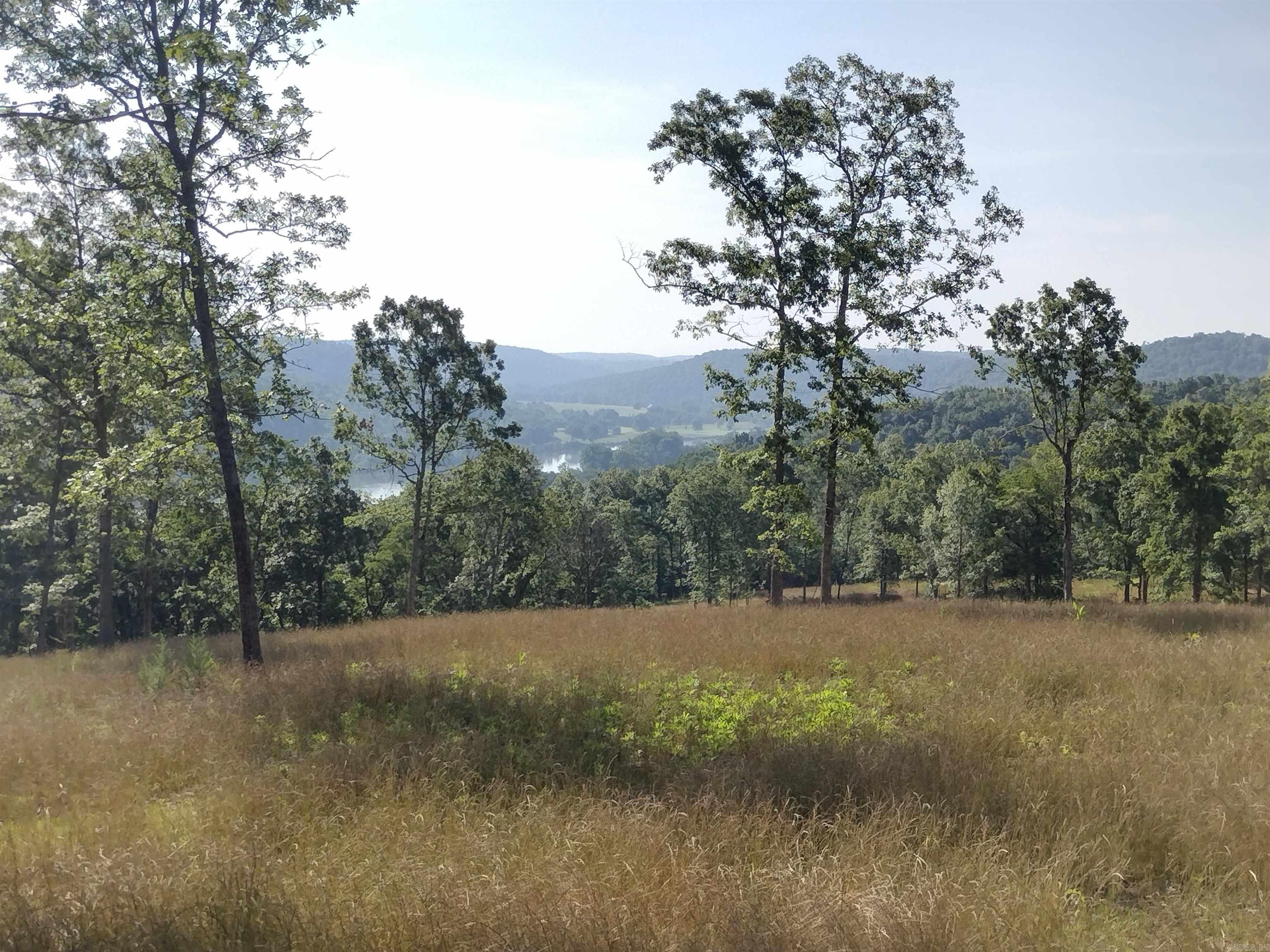 0 Burten Hill Road  Mountain View, AR