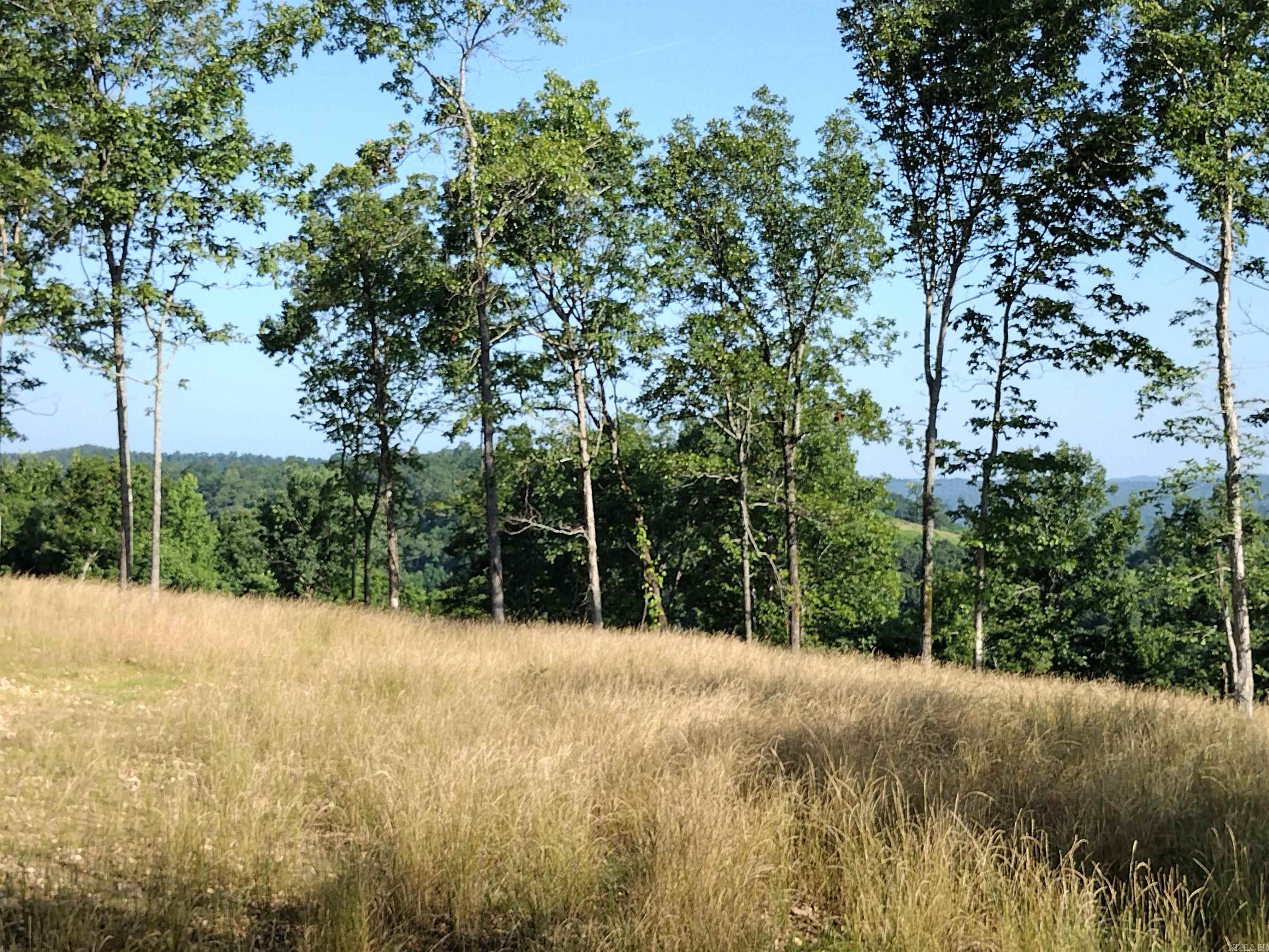 0 Burten Hill Road  Mountain View, AR