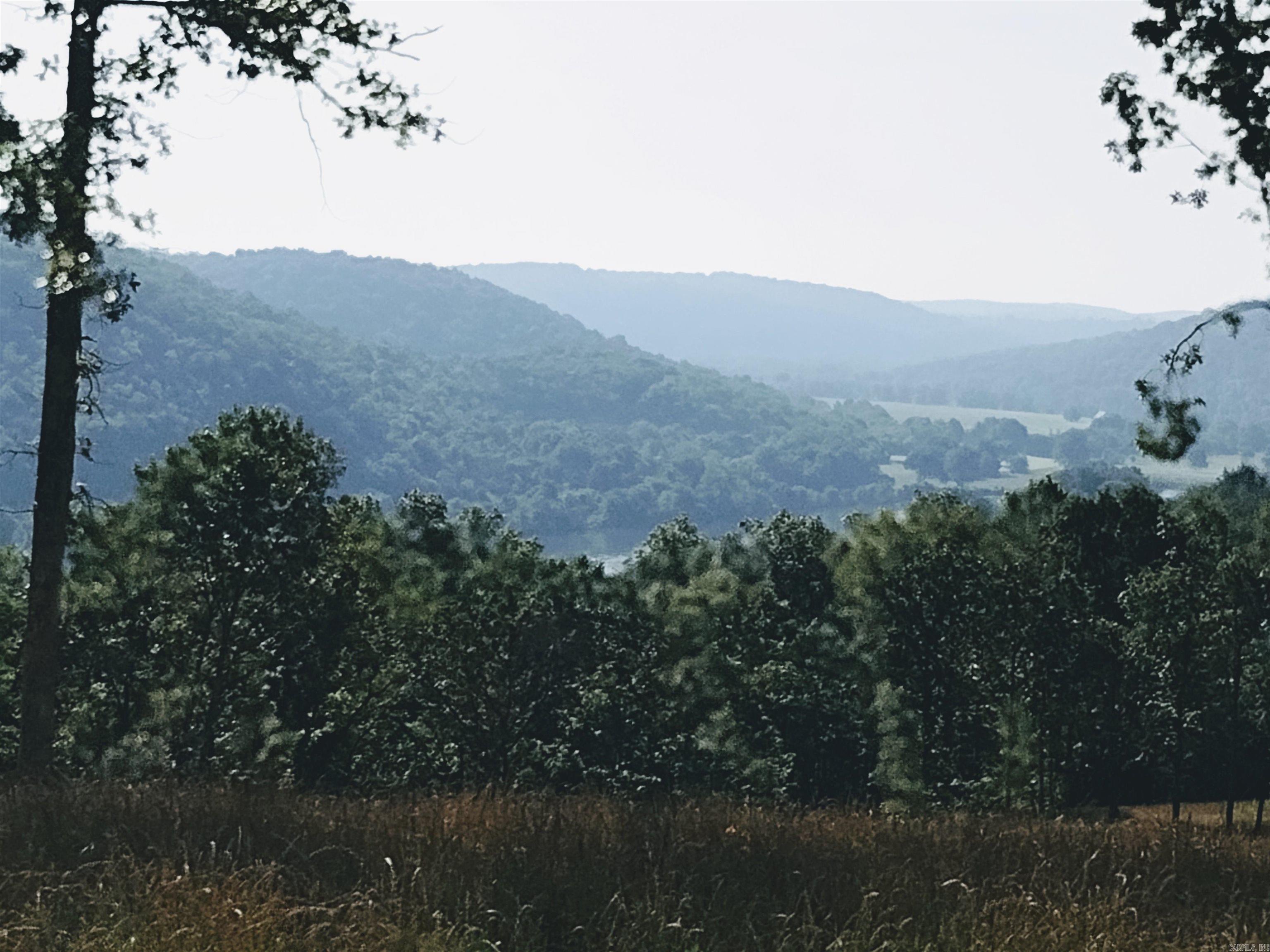 0 Burten Hill Road  Mountain View, AR
