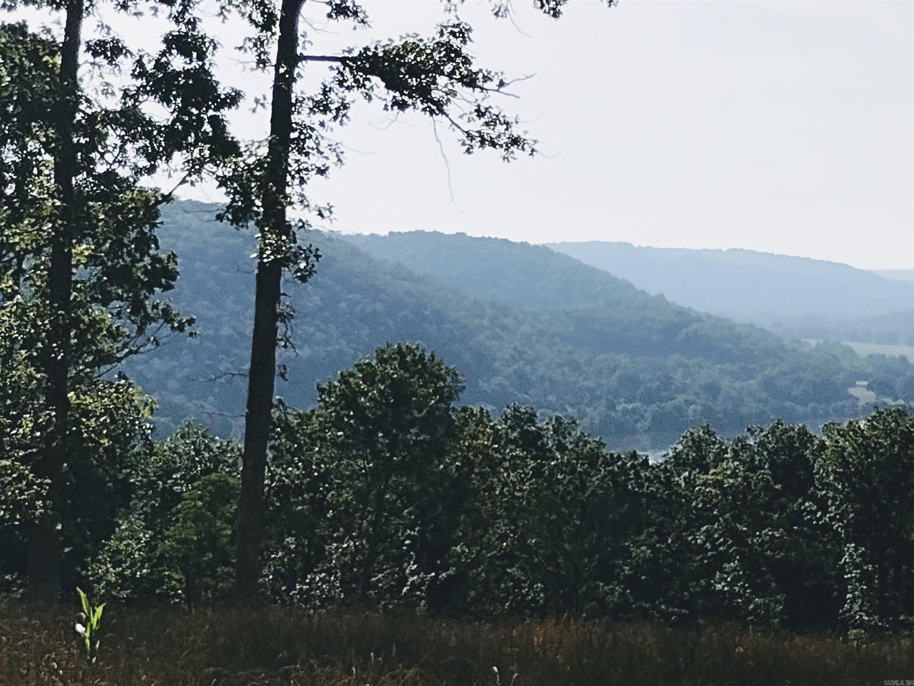 0 Burten Hill Road  Mountain View, AR
