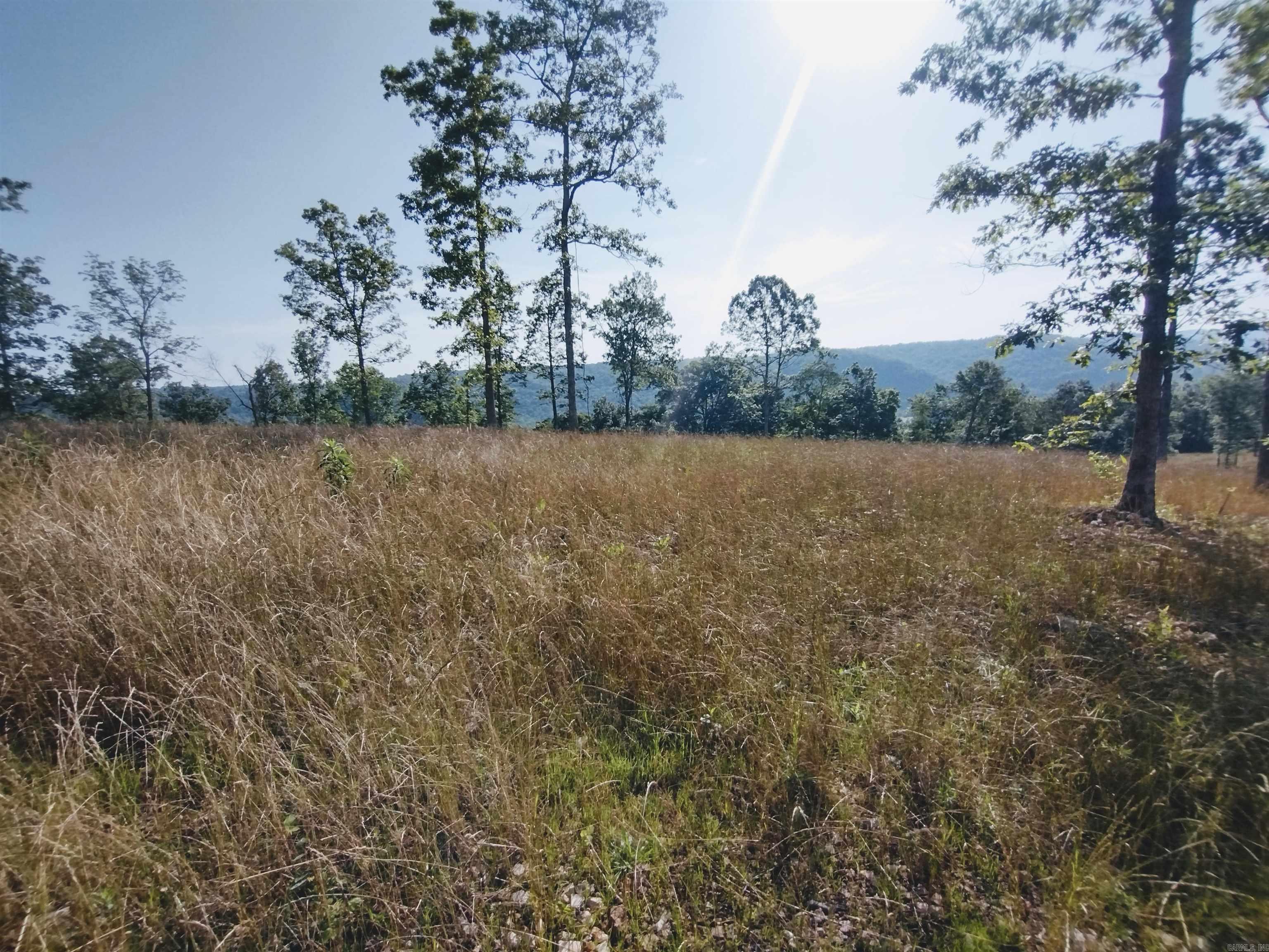 0 Burten Hill Road  Mountain View, AR
