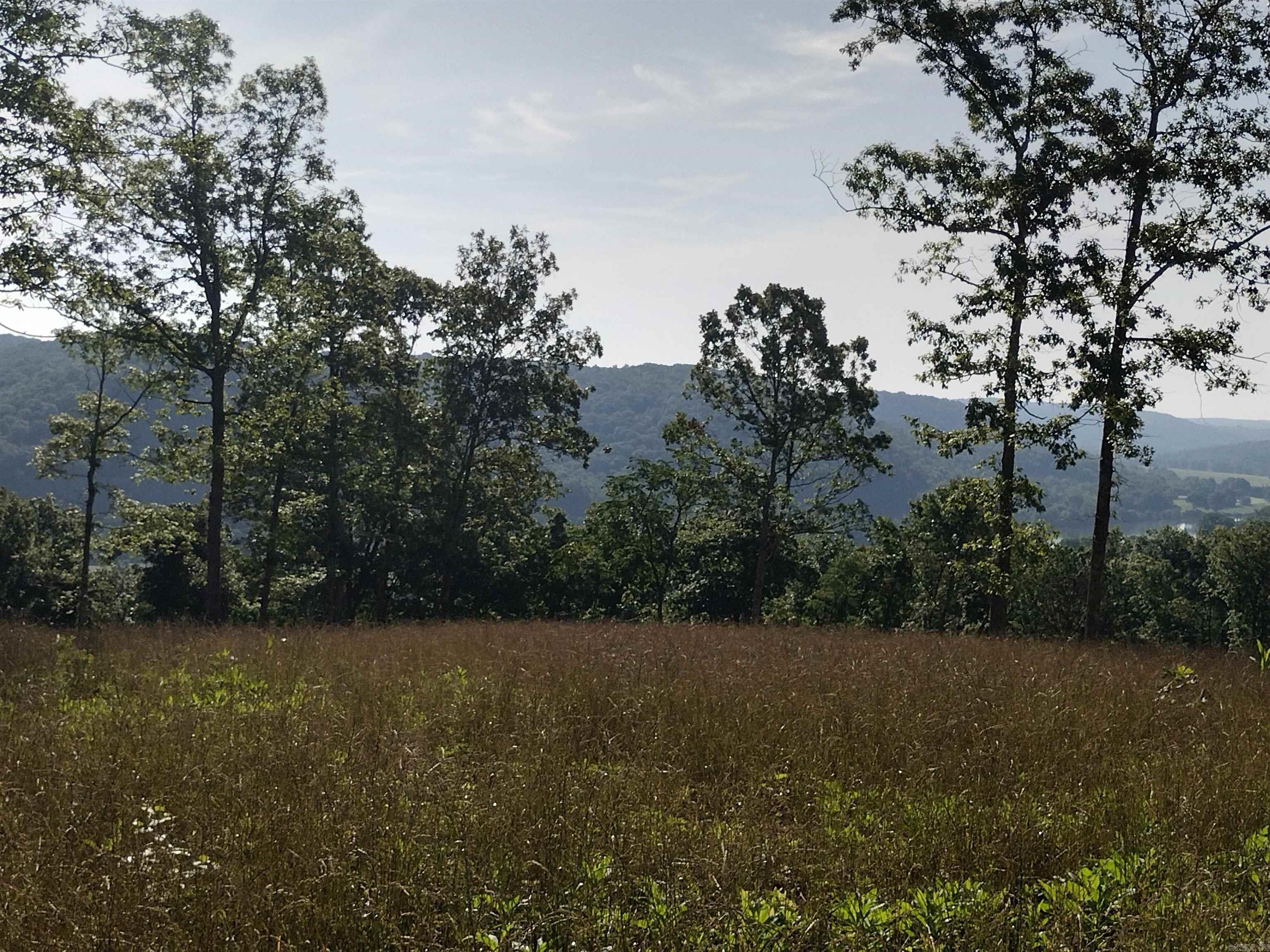 0 Burten Hill Road  Mountain View, AR