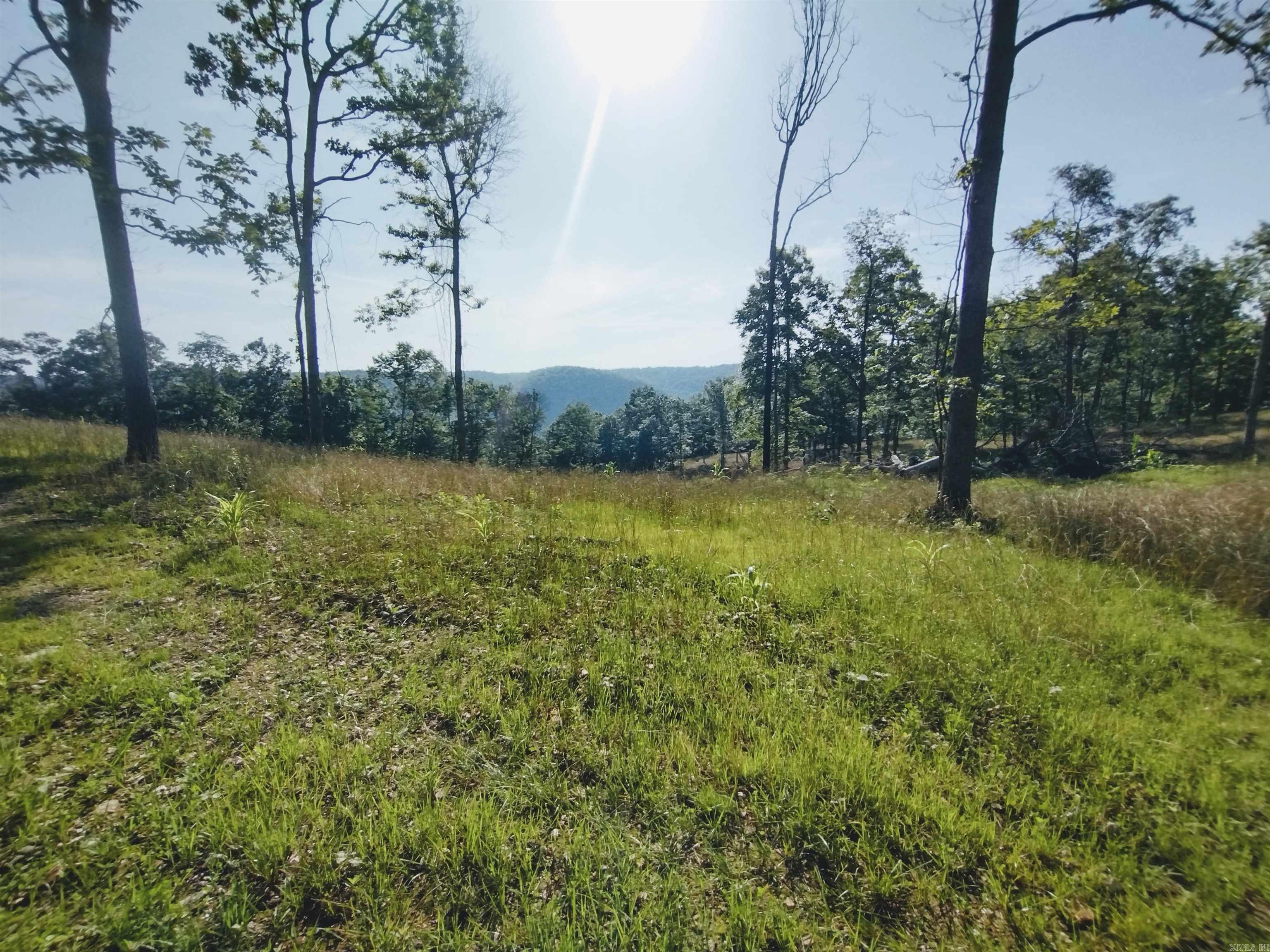 0 Burten Hill Road  Mountain View, AR