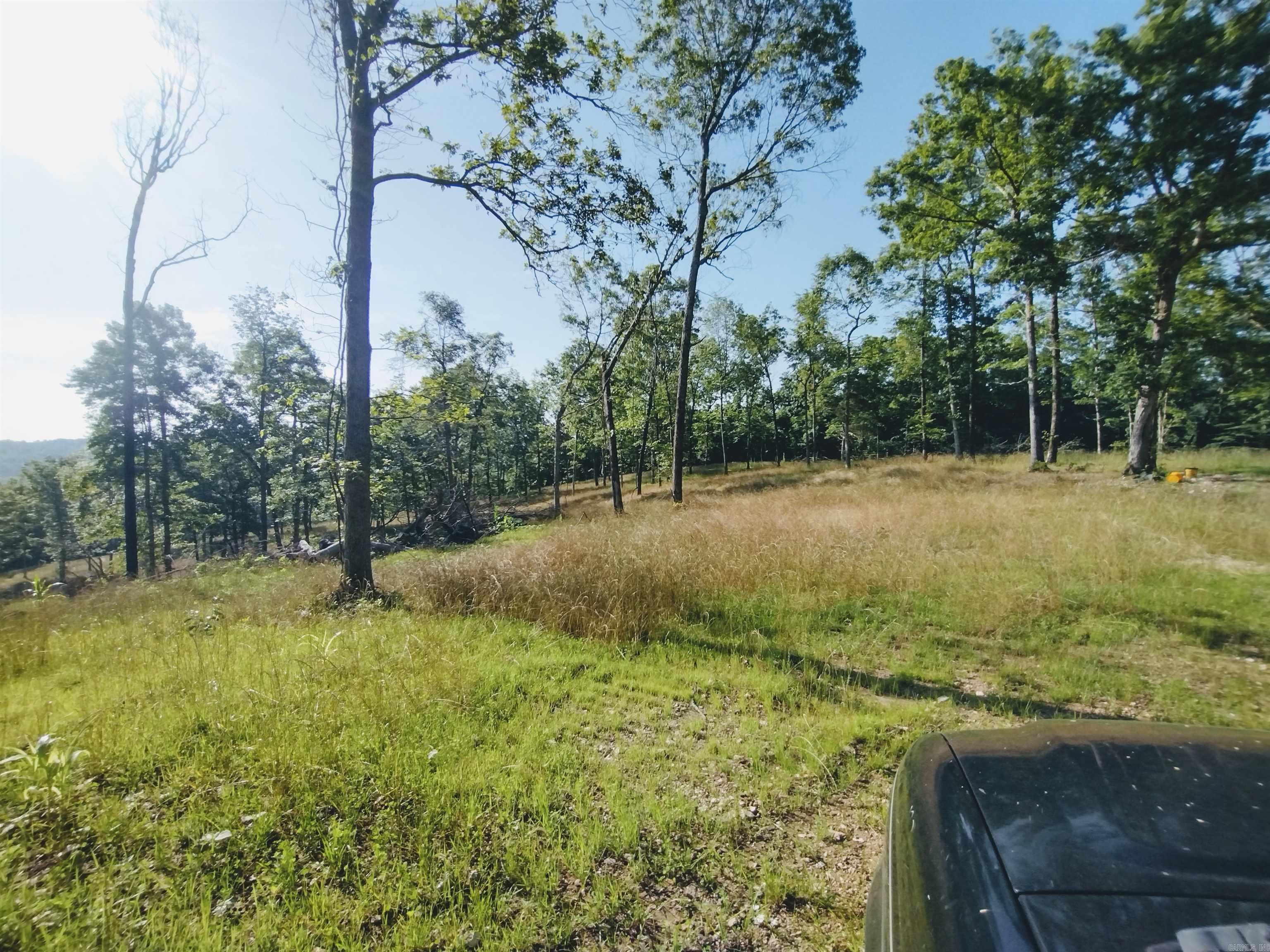 0 Burten Hill Road  Mountain View, AR