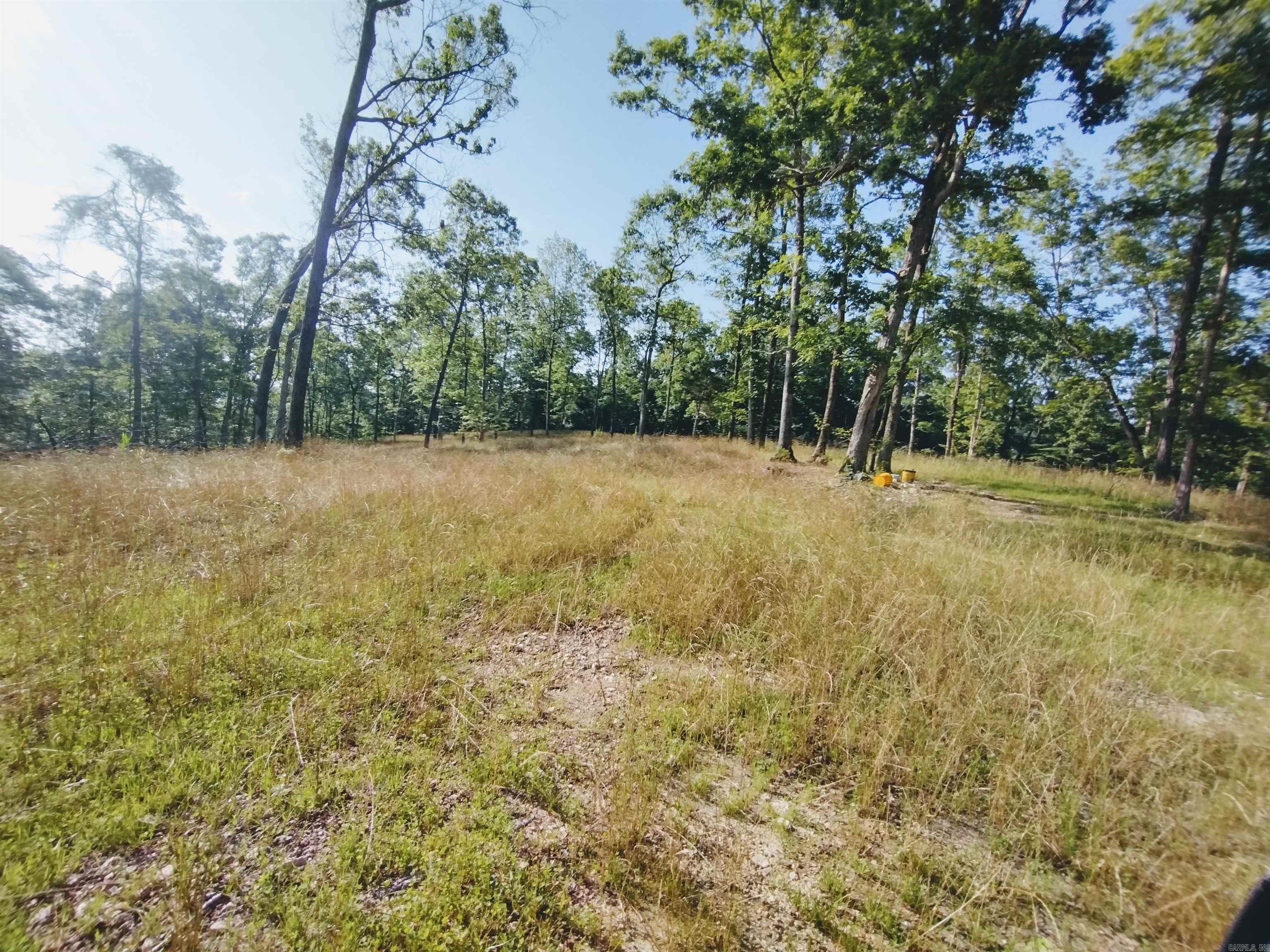 0 Burten Hill Road  Mountain View, AR