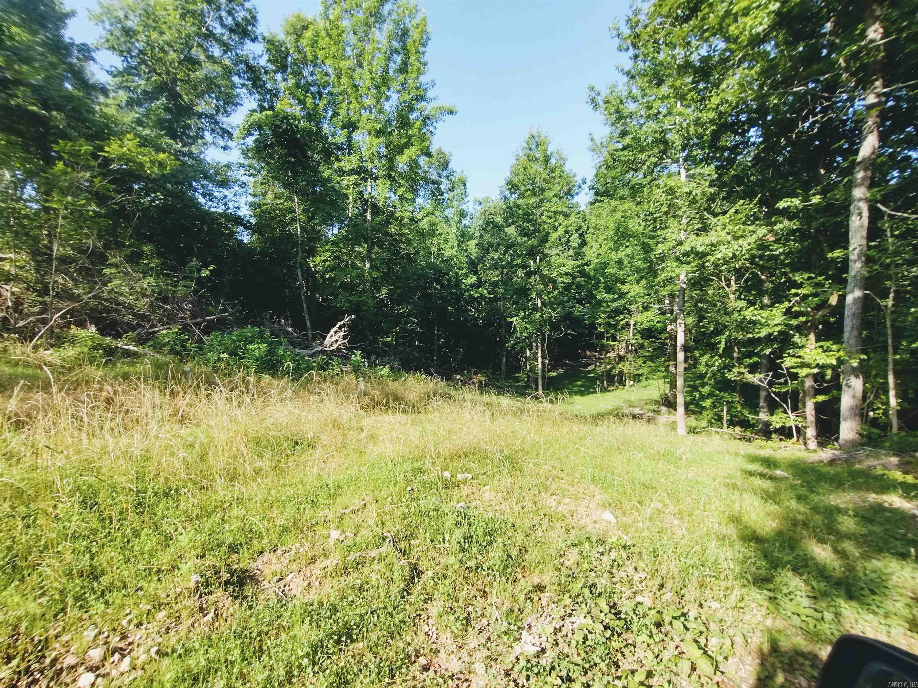 0 Burten Hill Road  Mountain View, AR