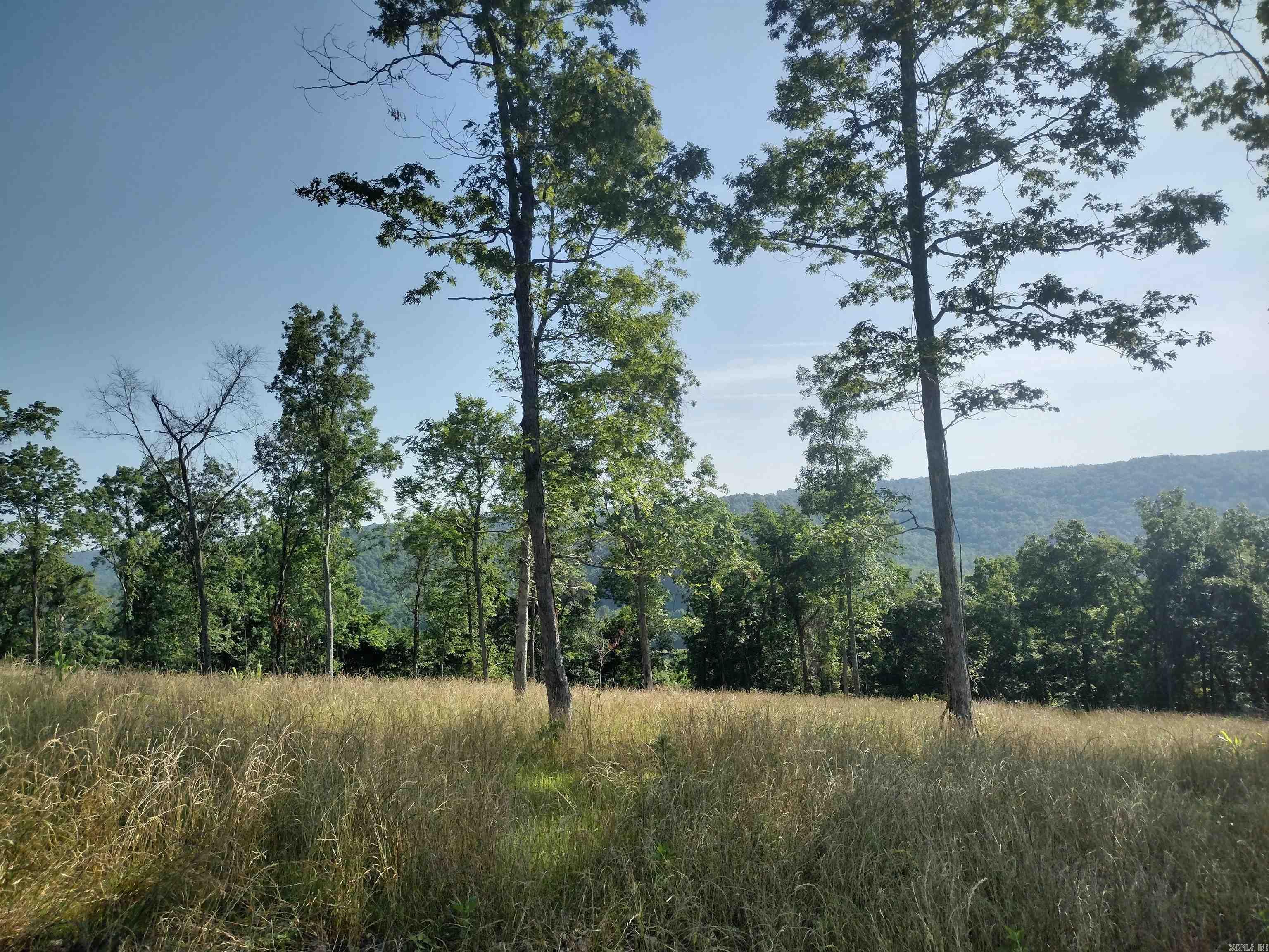 0 Burten Hill Road  Mountain View, AR