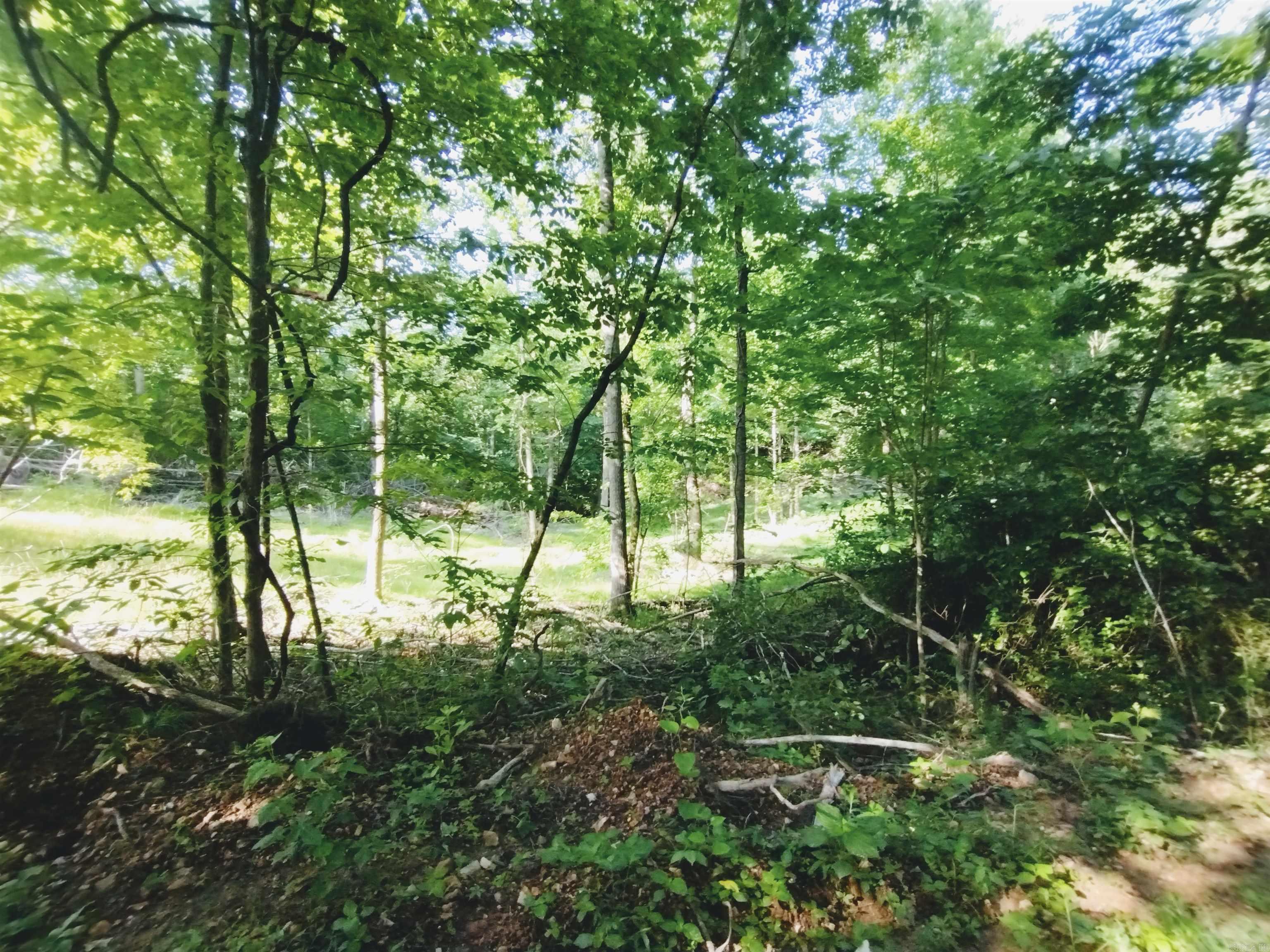 0 Burten Hill Road  Mountain View, AR