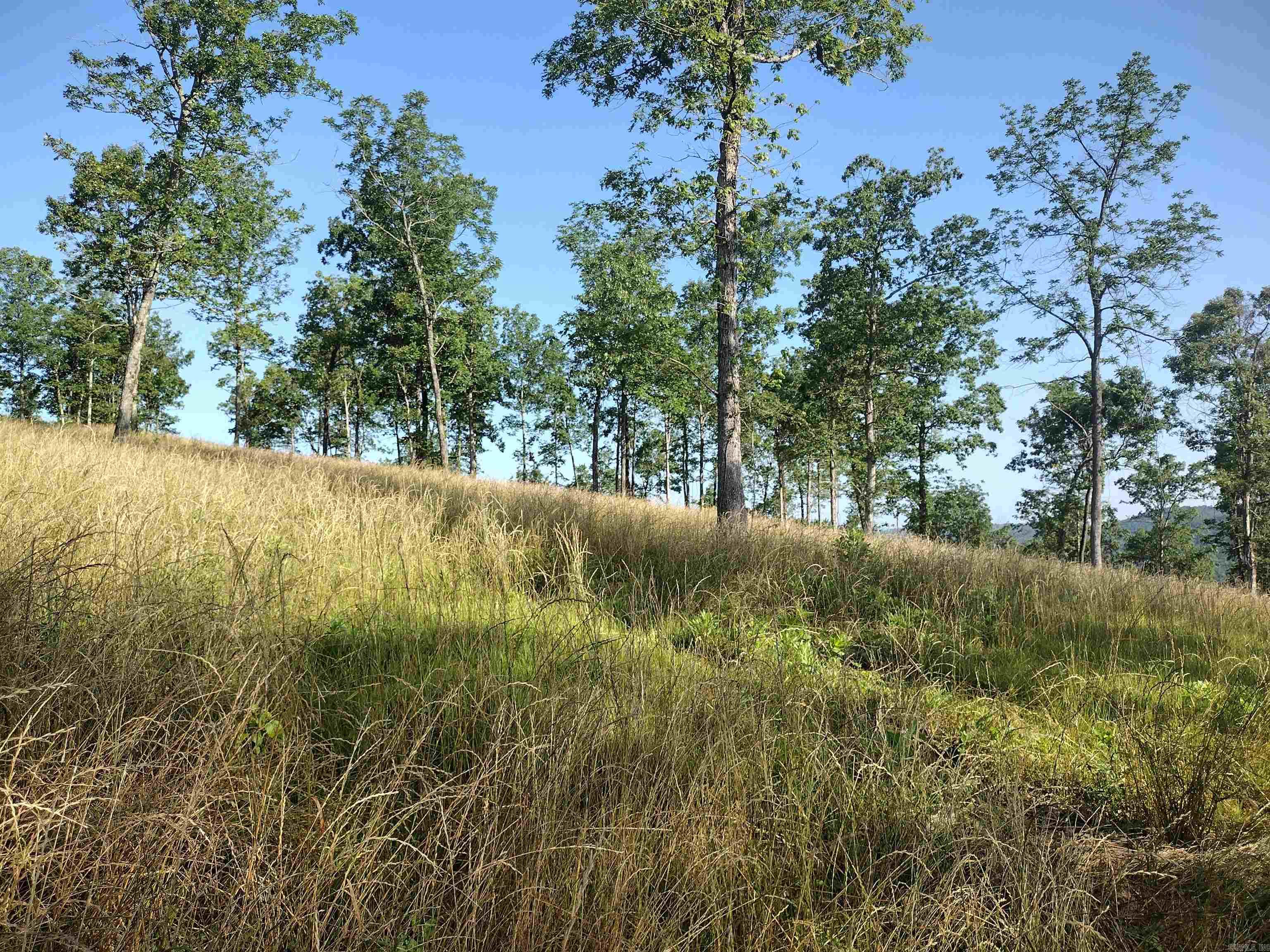 0 Burten Hill Road  Mountain View, AR
