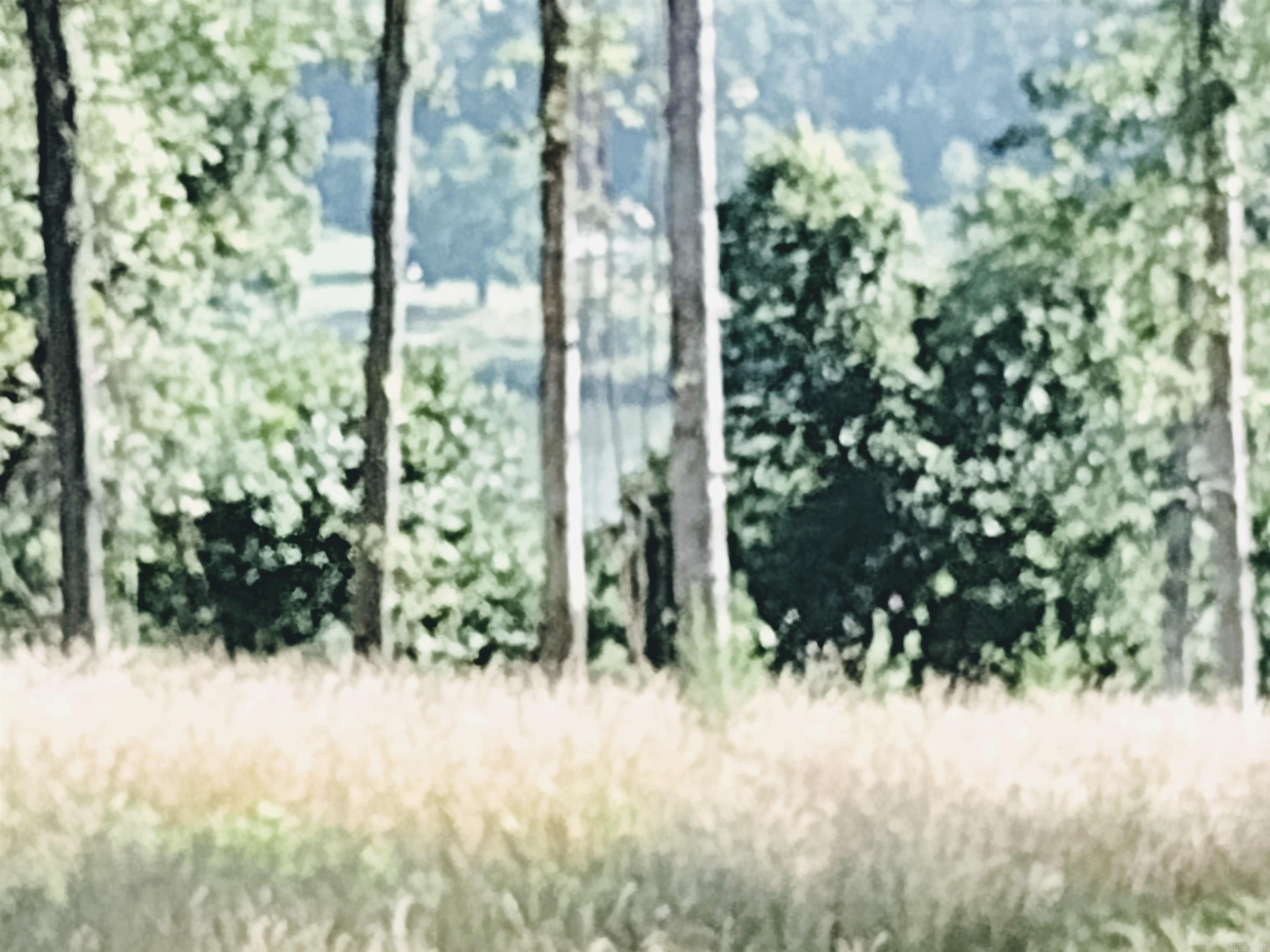 0 Burten Hill Road  Mountain View, AR