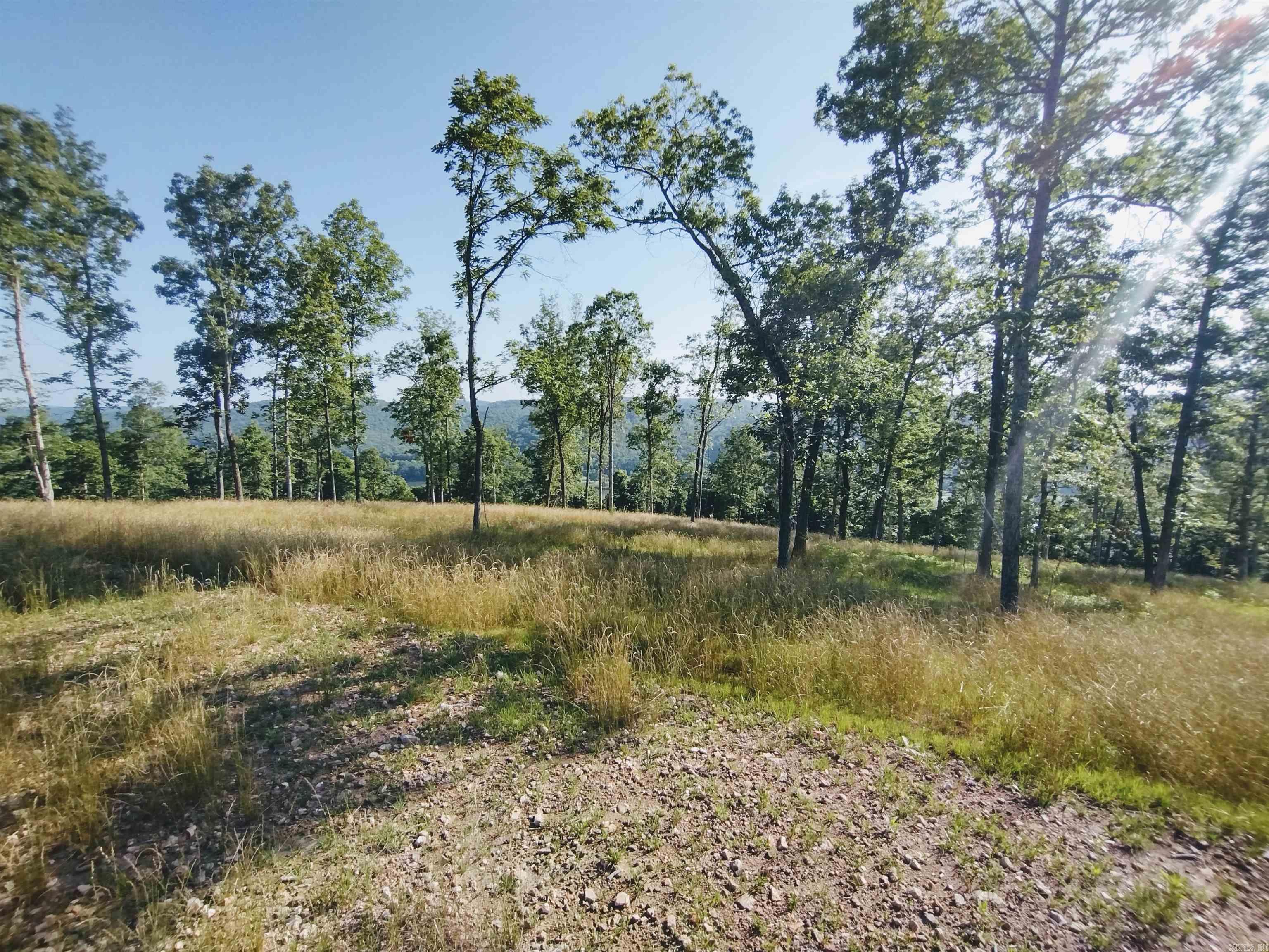 0 Burten Hill Road  Mountain View, AR