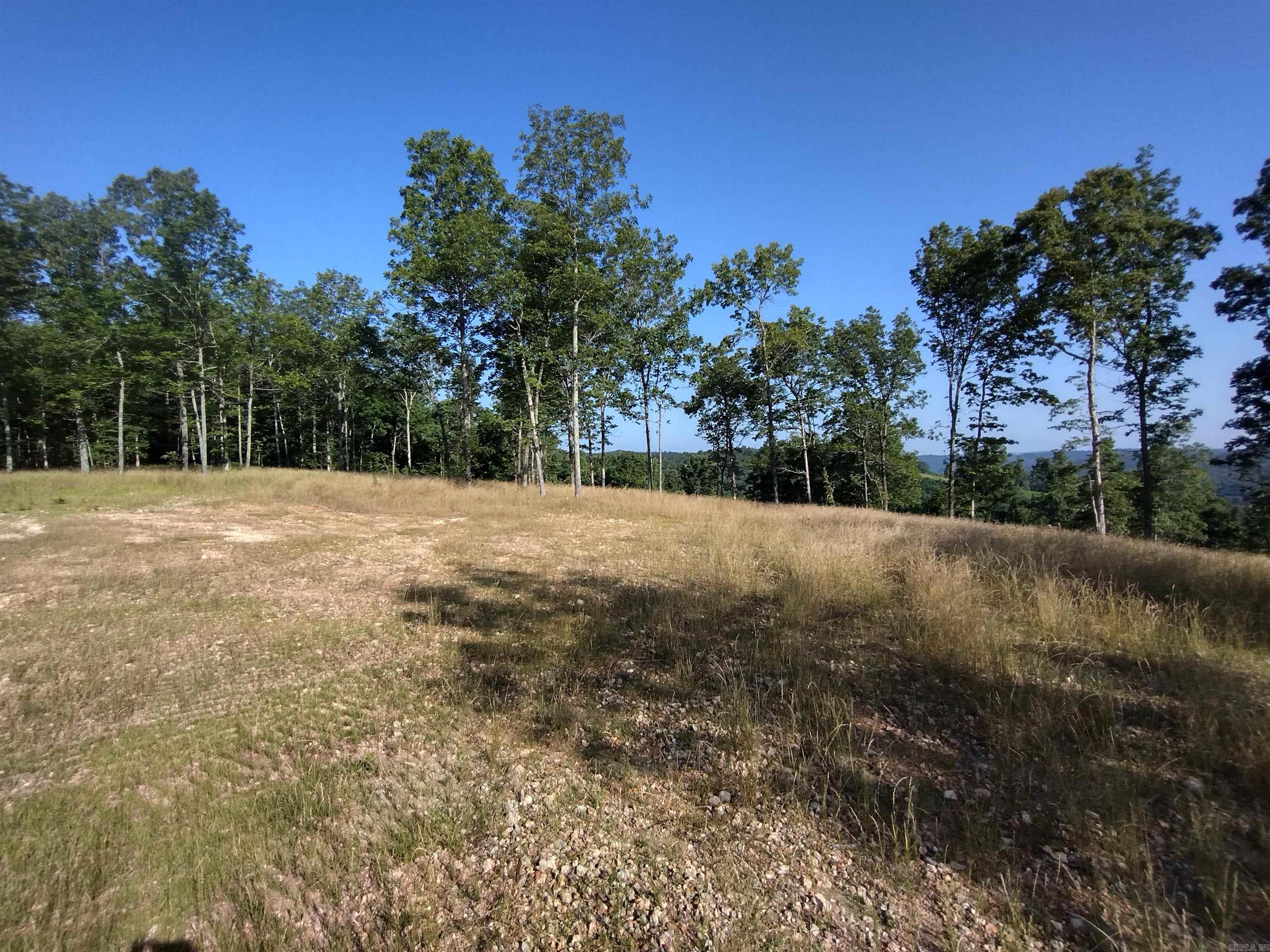 0 Burten Hill Road  Mountain View, AR
