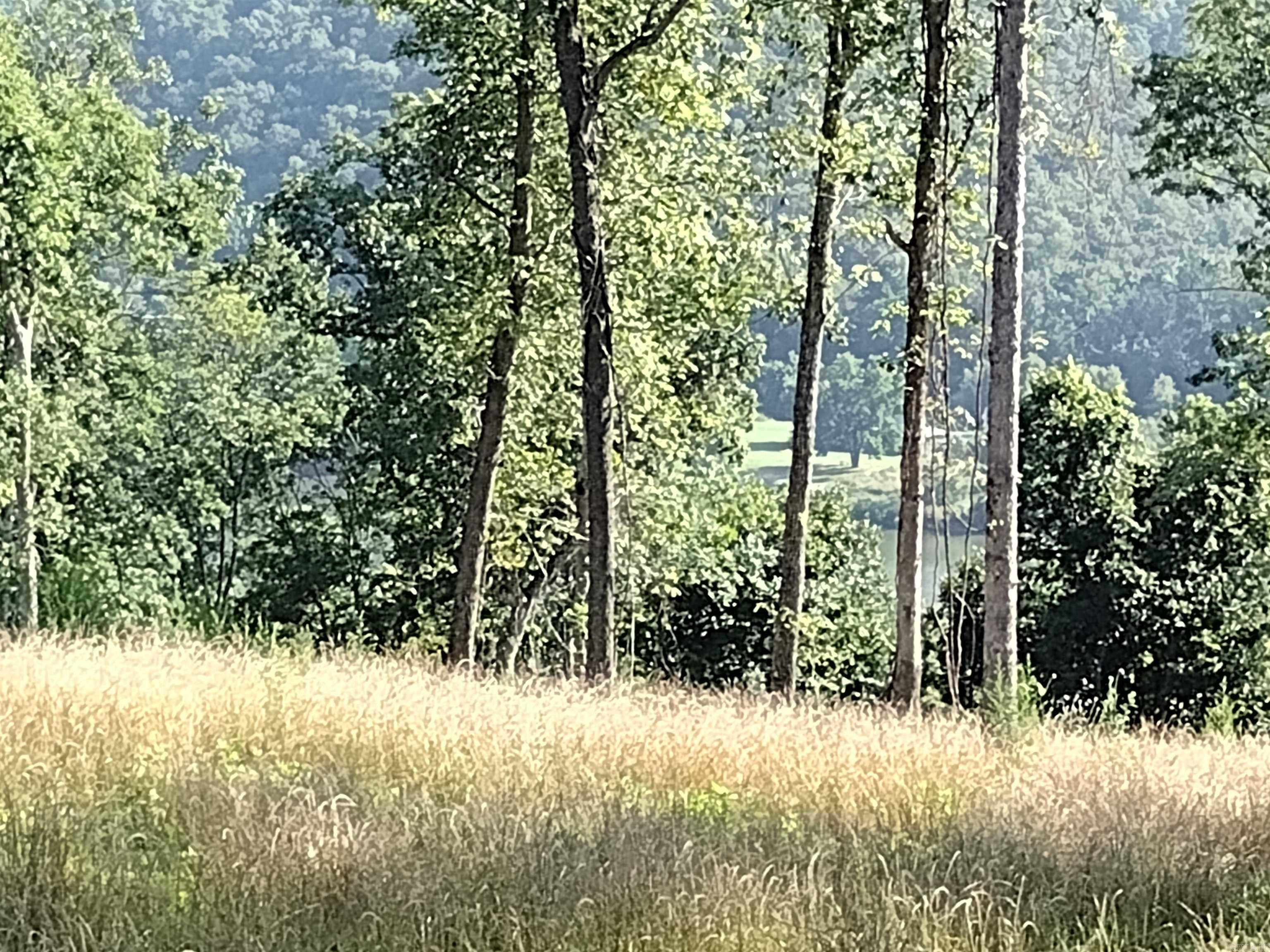 0 Burten Hill Road  Mountain View, AR