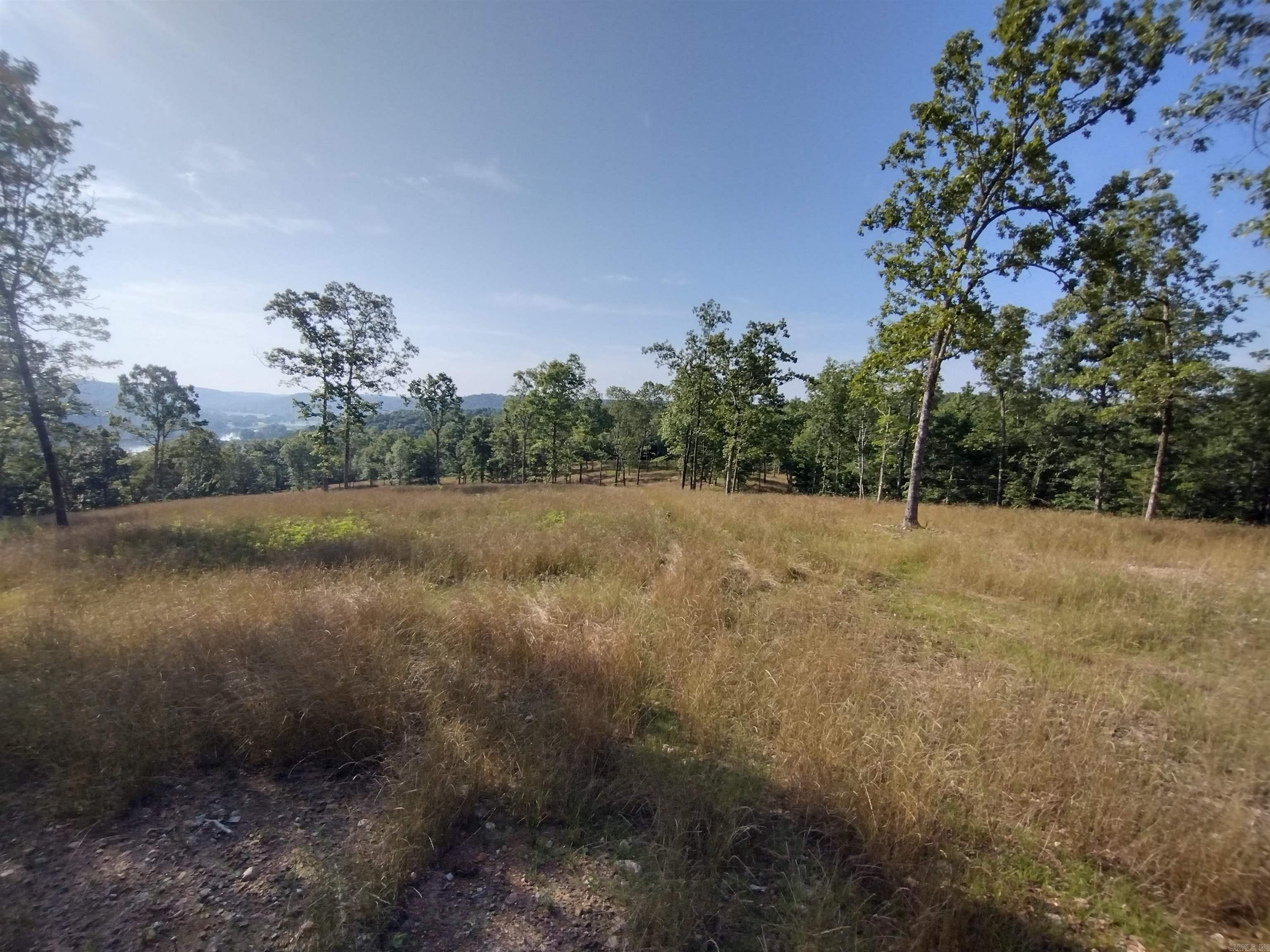 0 Burten Hill Road  Mountain View, AR