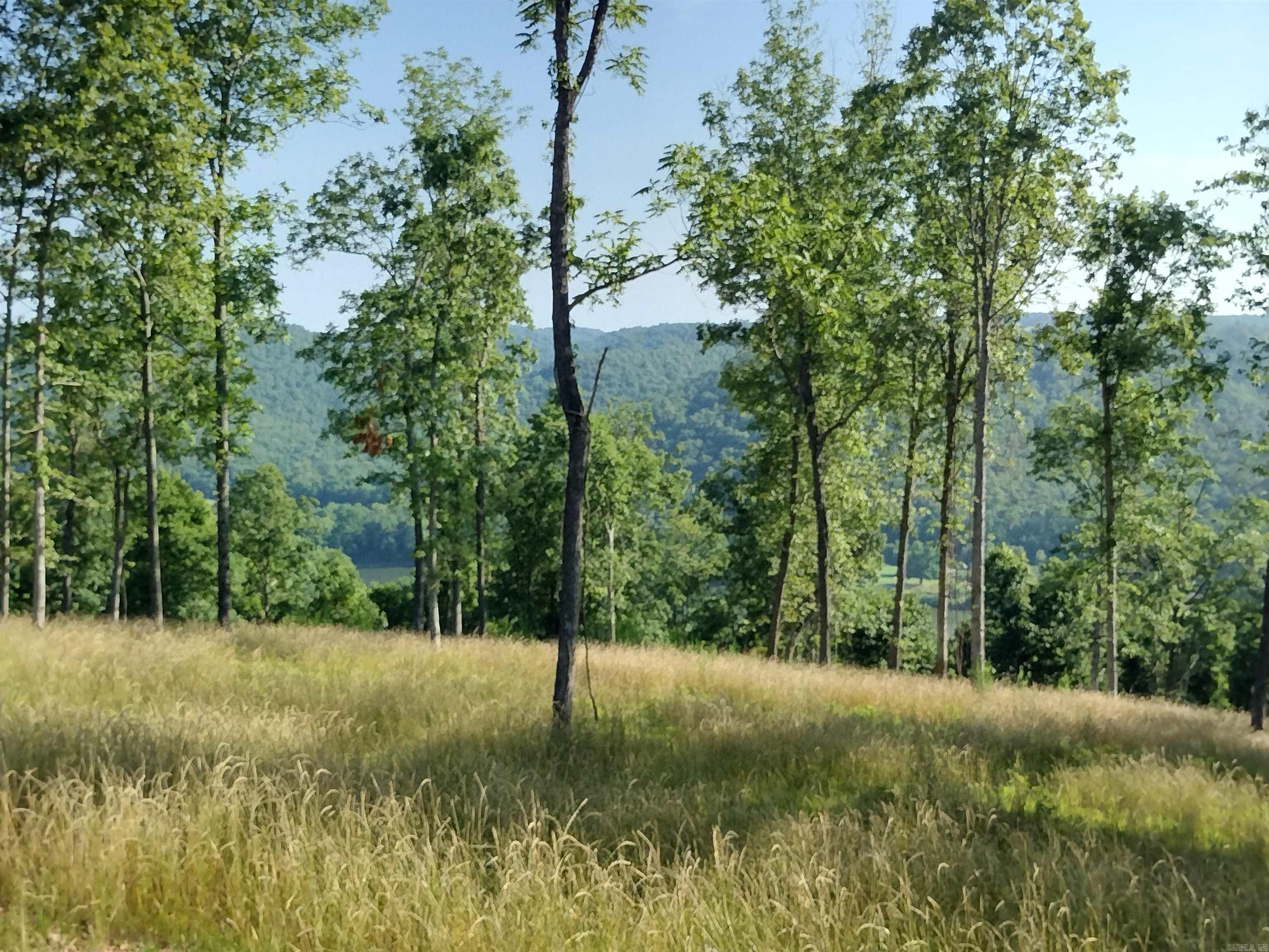 0 Burten Hill Road  Mountain View, AR