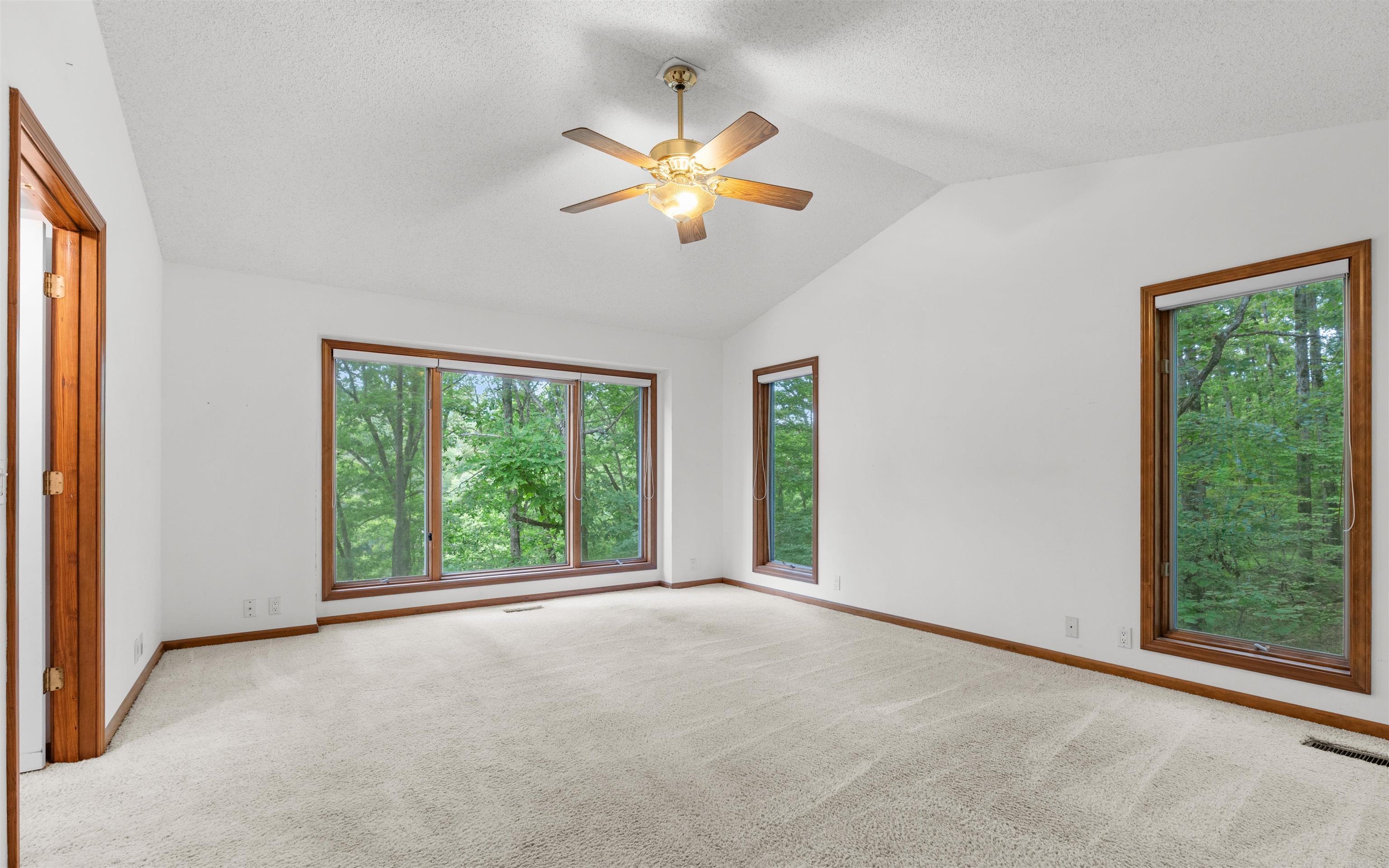 13 Delavega  Hot Springs Village, AR