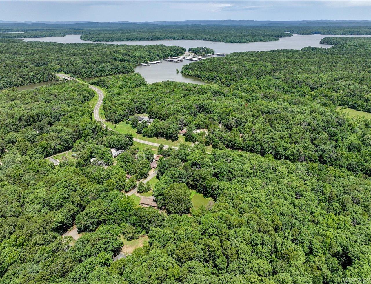 32 Cinnamon  Mount Ida, AR