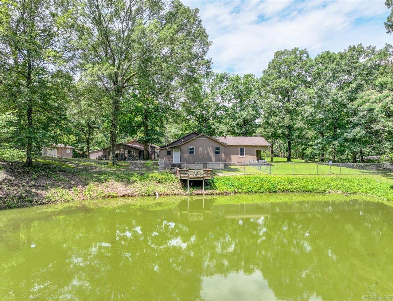 32 Cinnamon  Mount Ida, AR