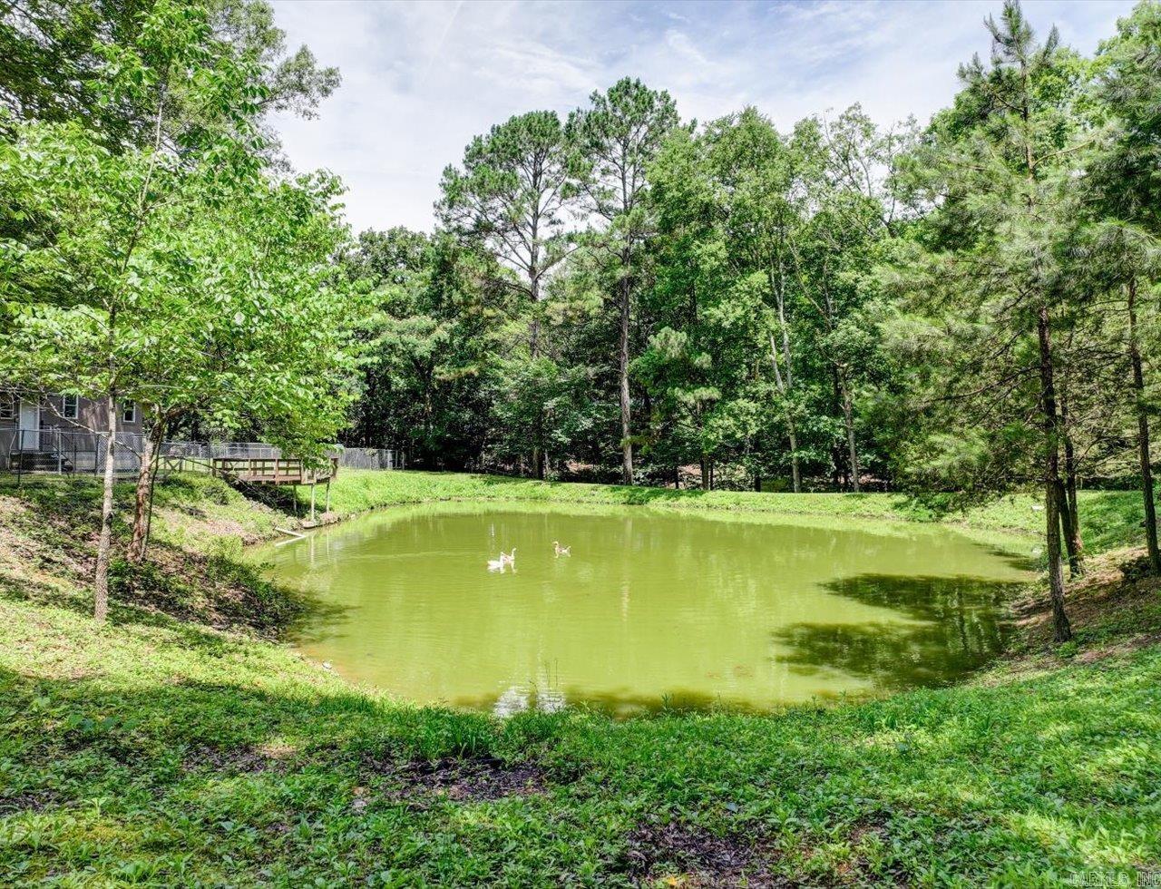 32 Cinnamon  Mount Ida, AR