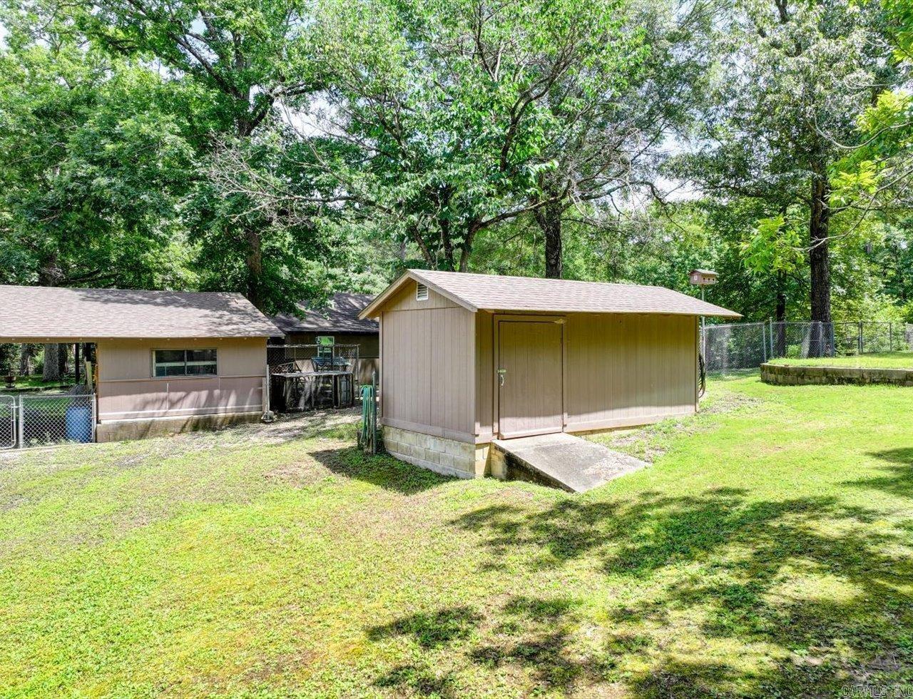 32 Cinnamon  Mount Ida, AR