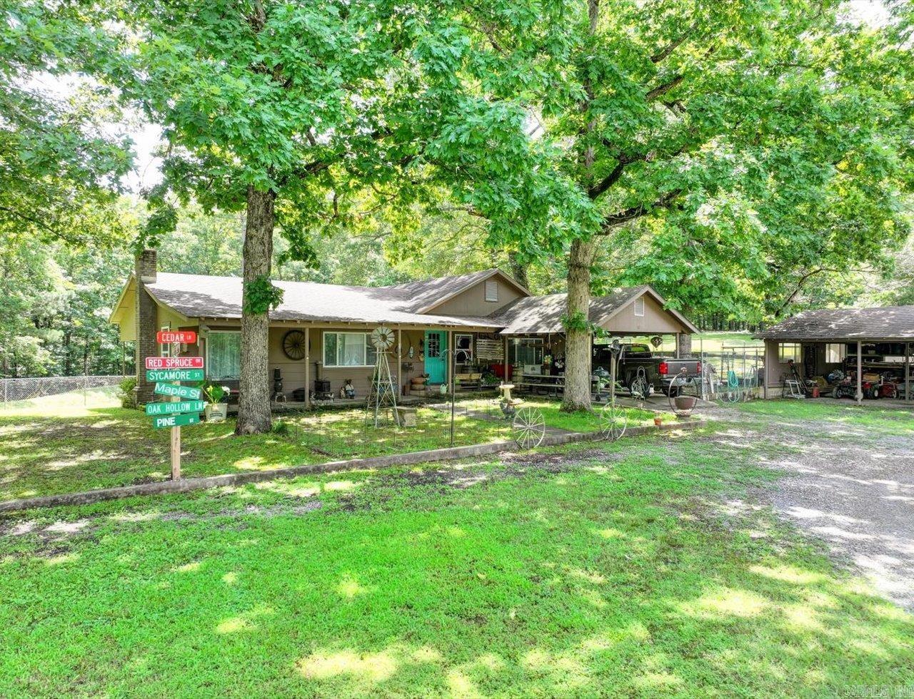 32 Cinnamon  Mount Ida, AR