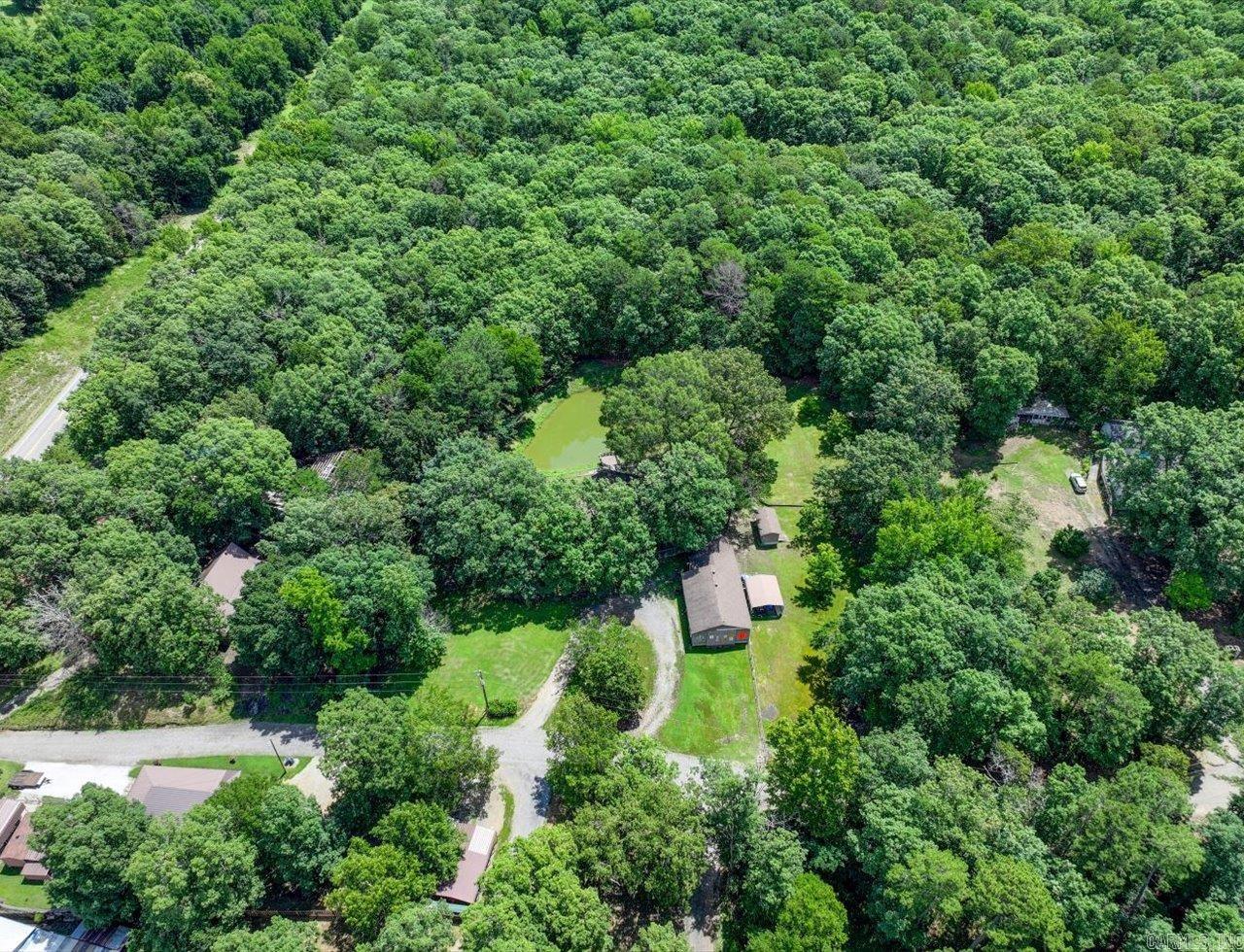 32 Cinnamon  Mount Ida, AR