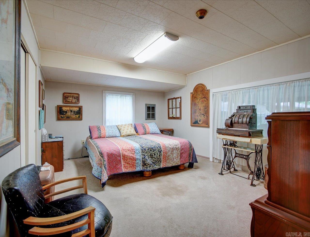 32 Cinnamon  Mount Ida, AR
