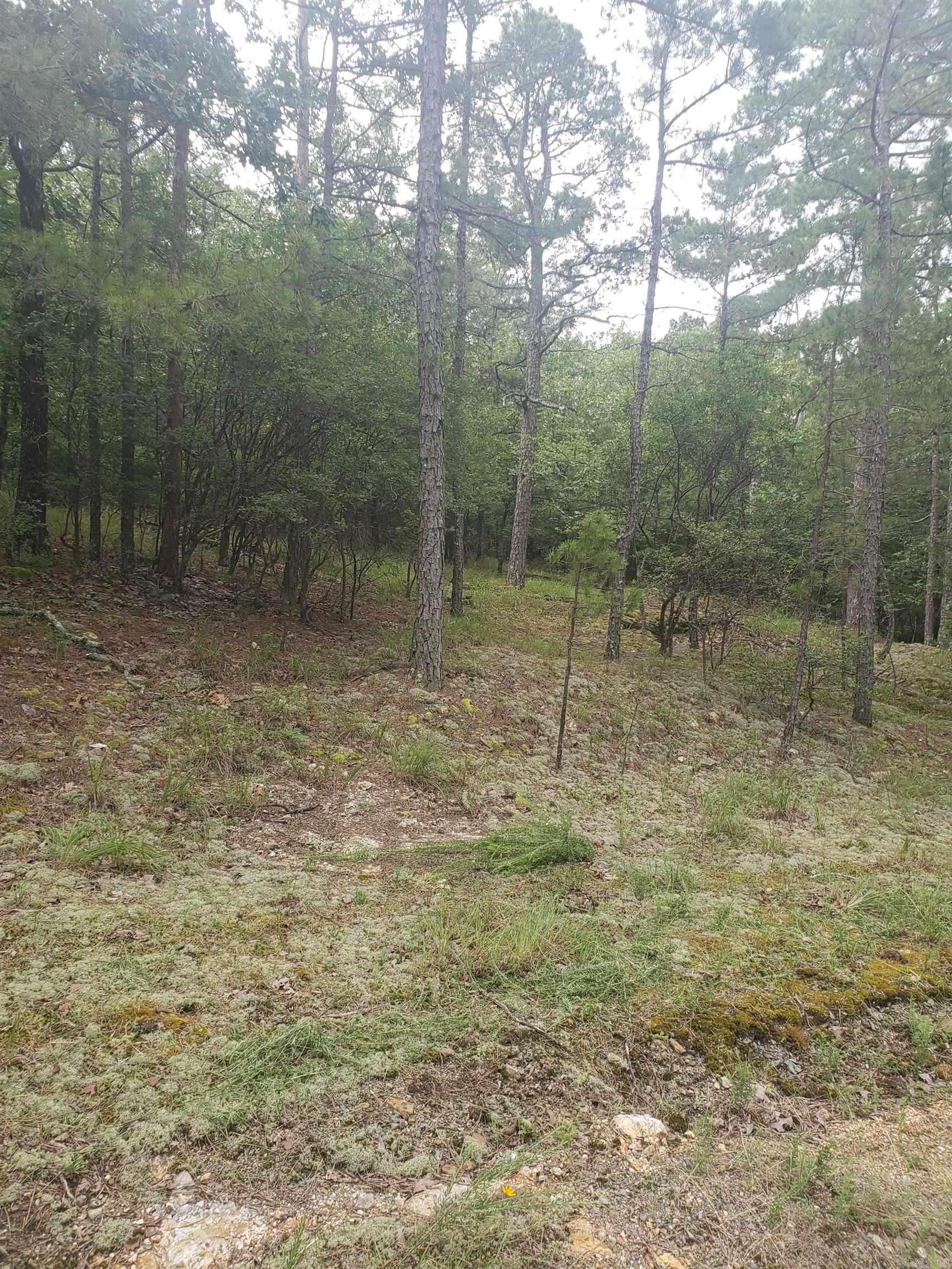 3805 Independence  Hot Springs, AR