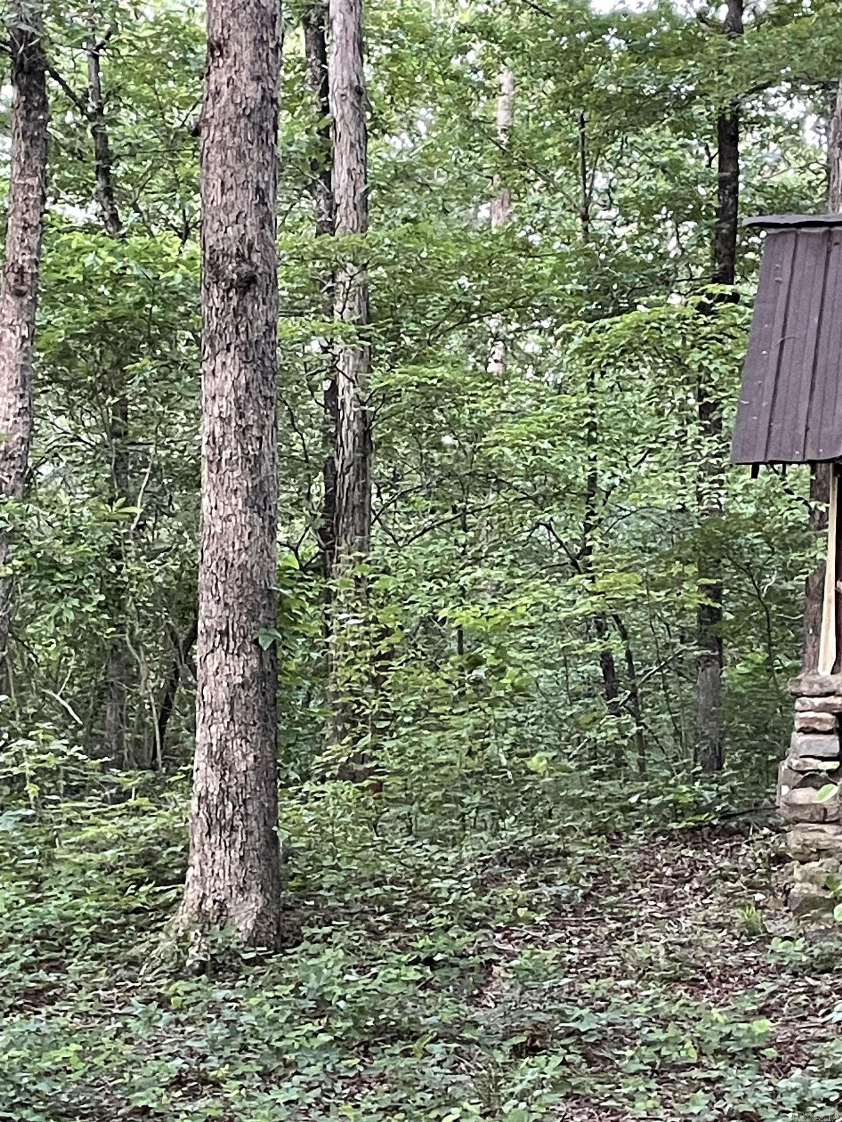 868 Watson  Clinton, AR