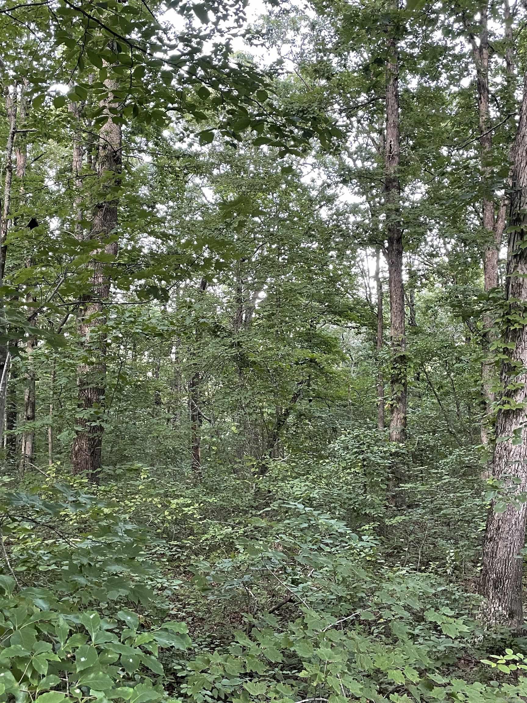 868 Watson  Clinton, AR