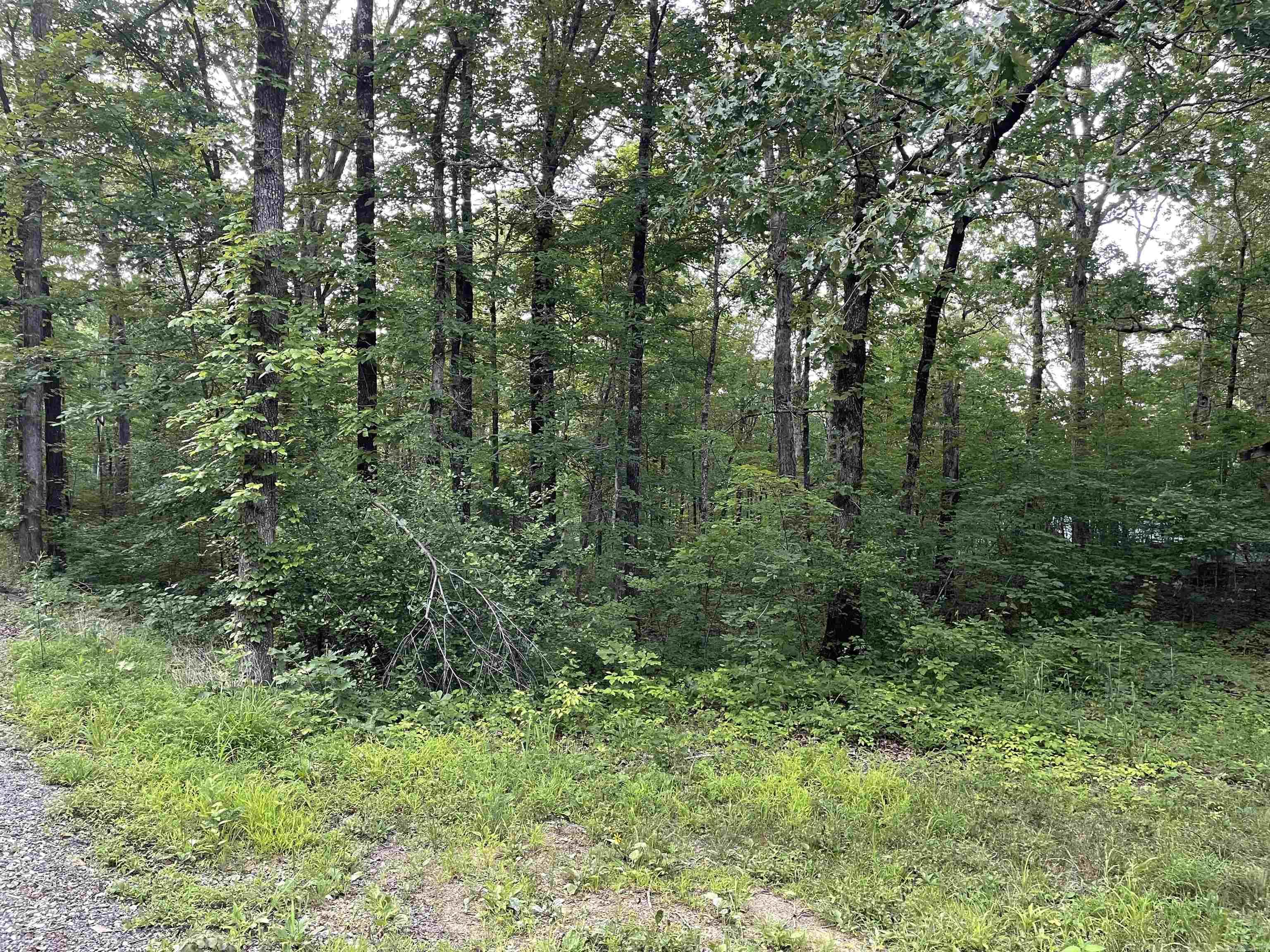 868 Watson  Clinton, AR