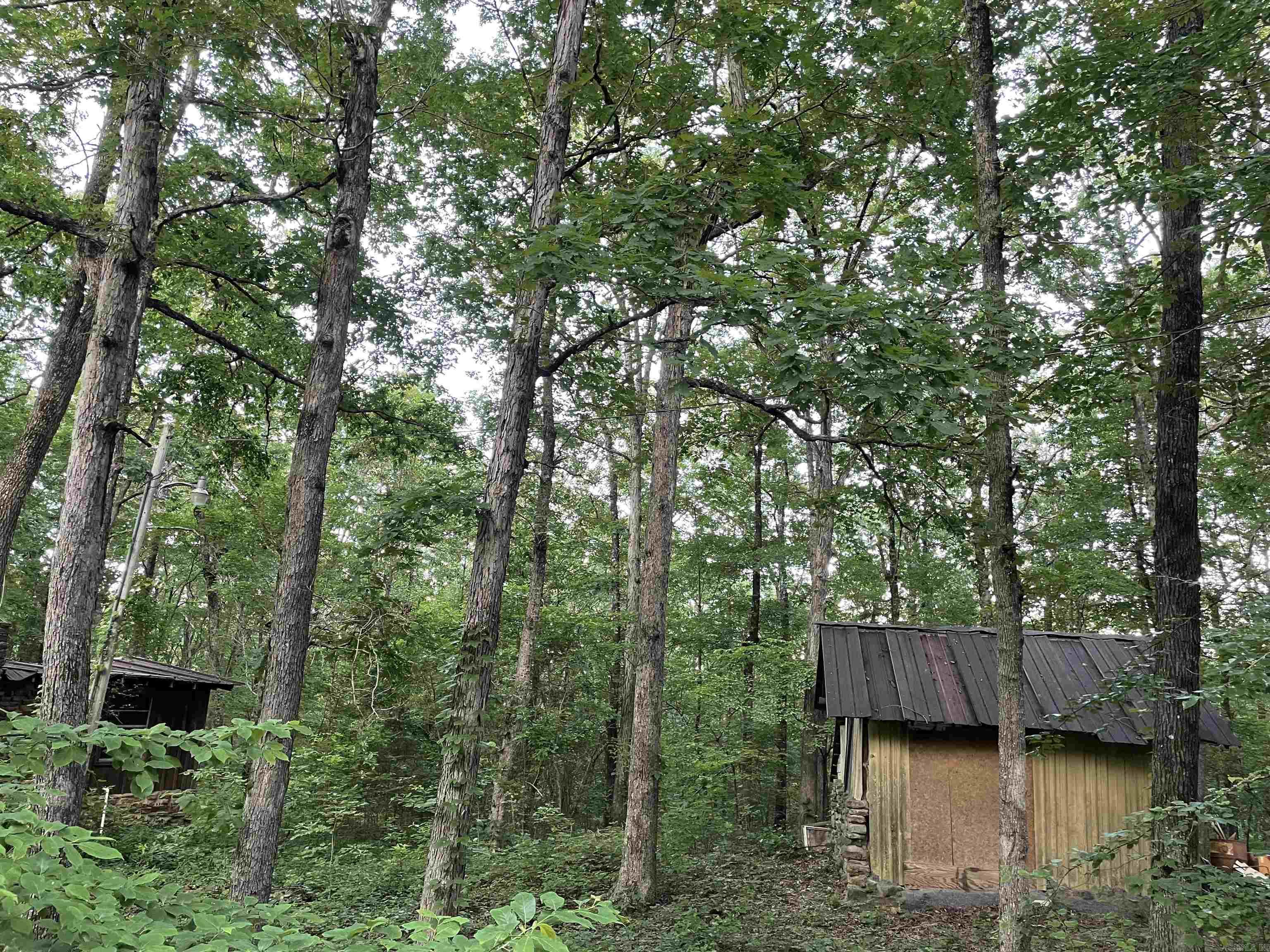 868 Watson  Clinton, AR