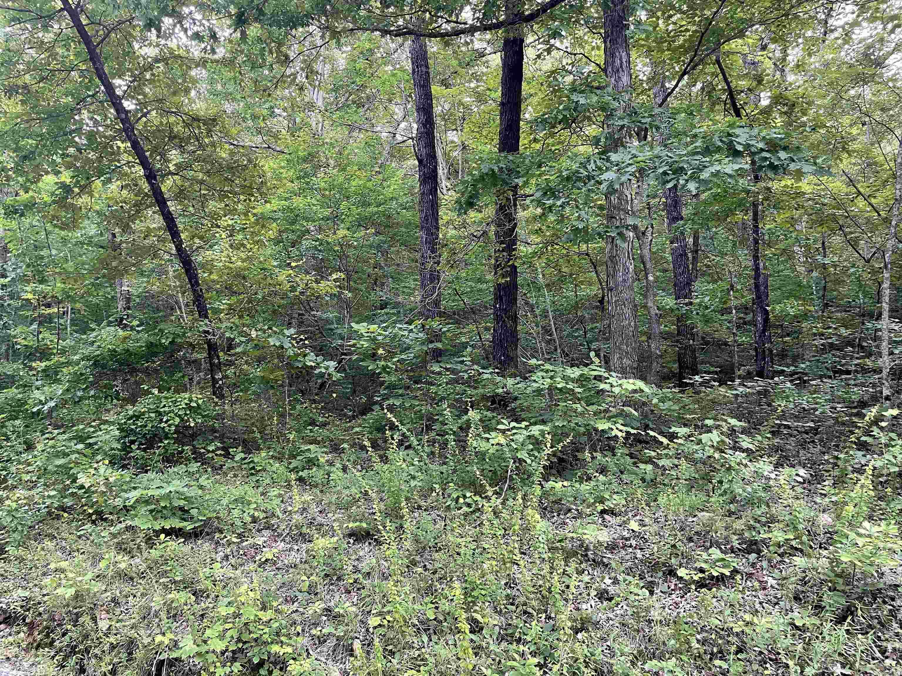868 Watson  Clinton, AR