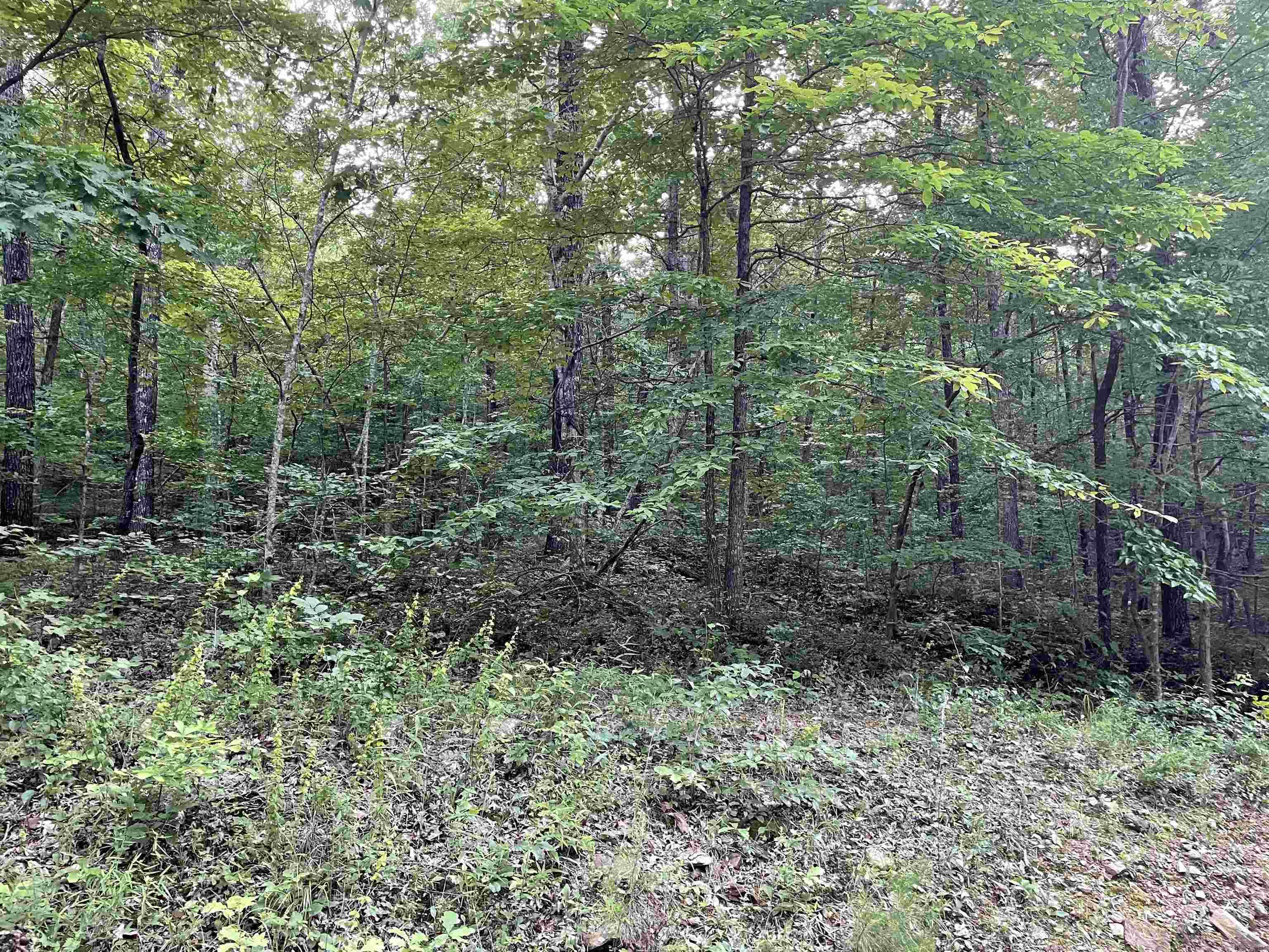 868 Watson  Clinton, AR