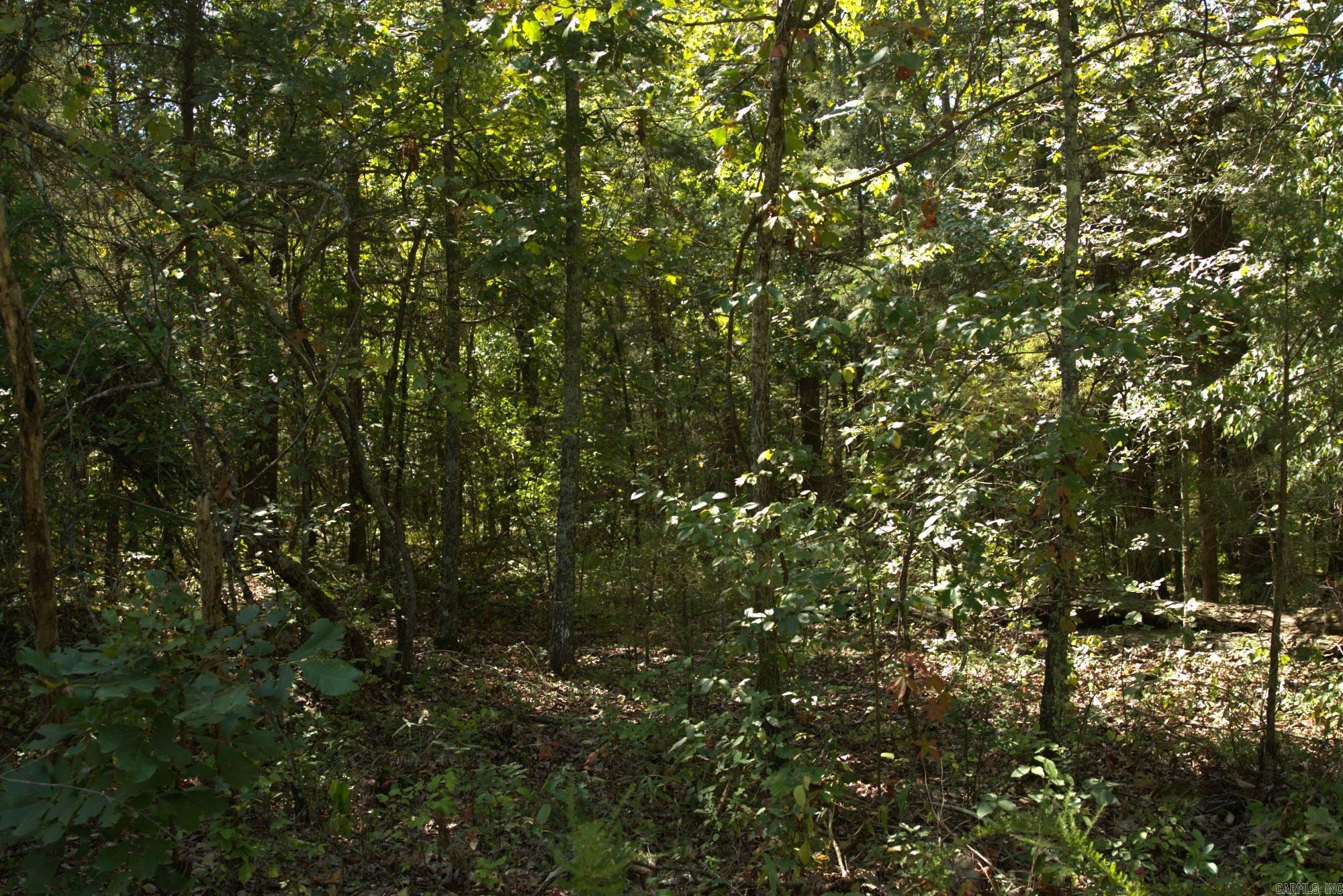 1505 Blackbird  Horseshoe Bend, AR