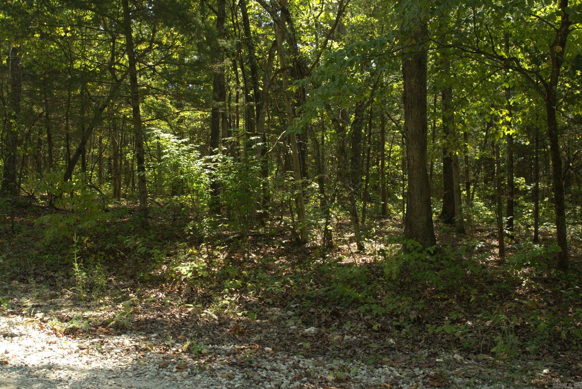 1505 Blackbird  Horseshoe Bend, AR