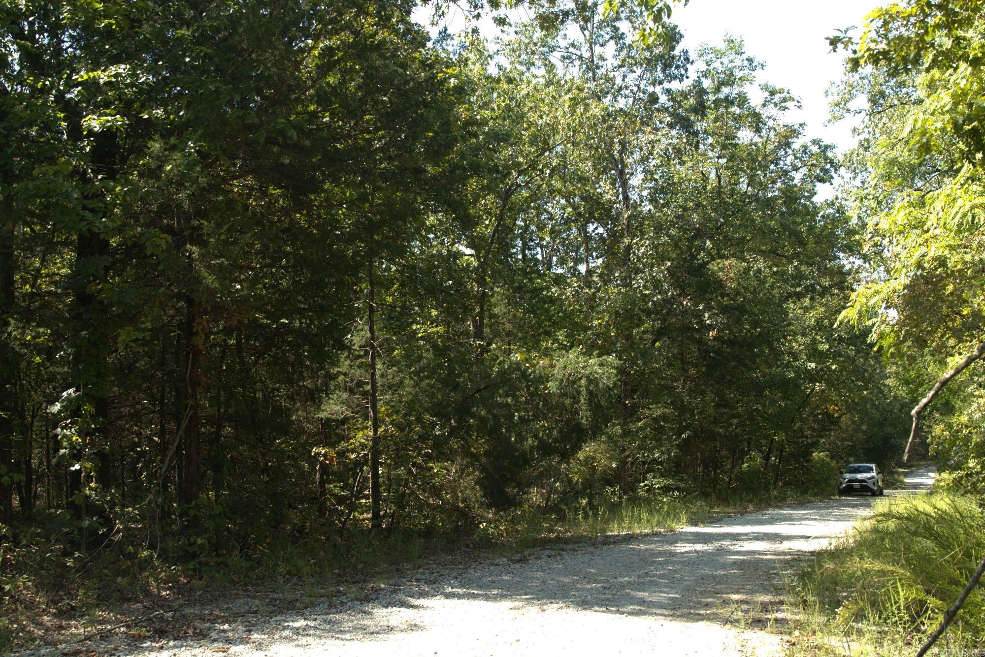 1505 Blackbird  Horseshoe Bend, AR